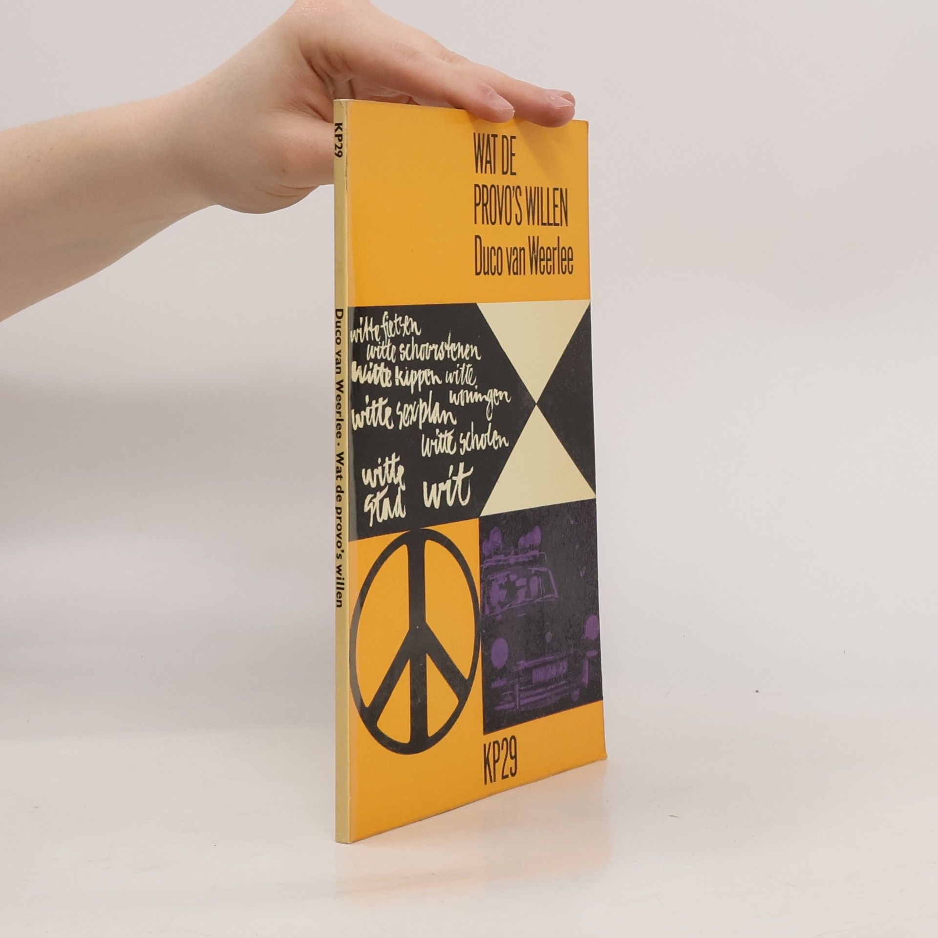 Duco van Weerlee Wat de provo's willen