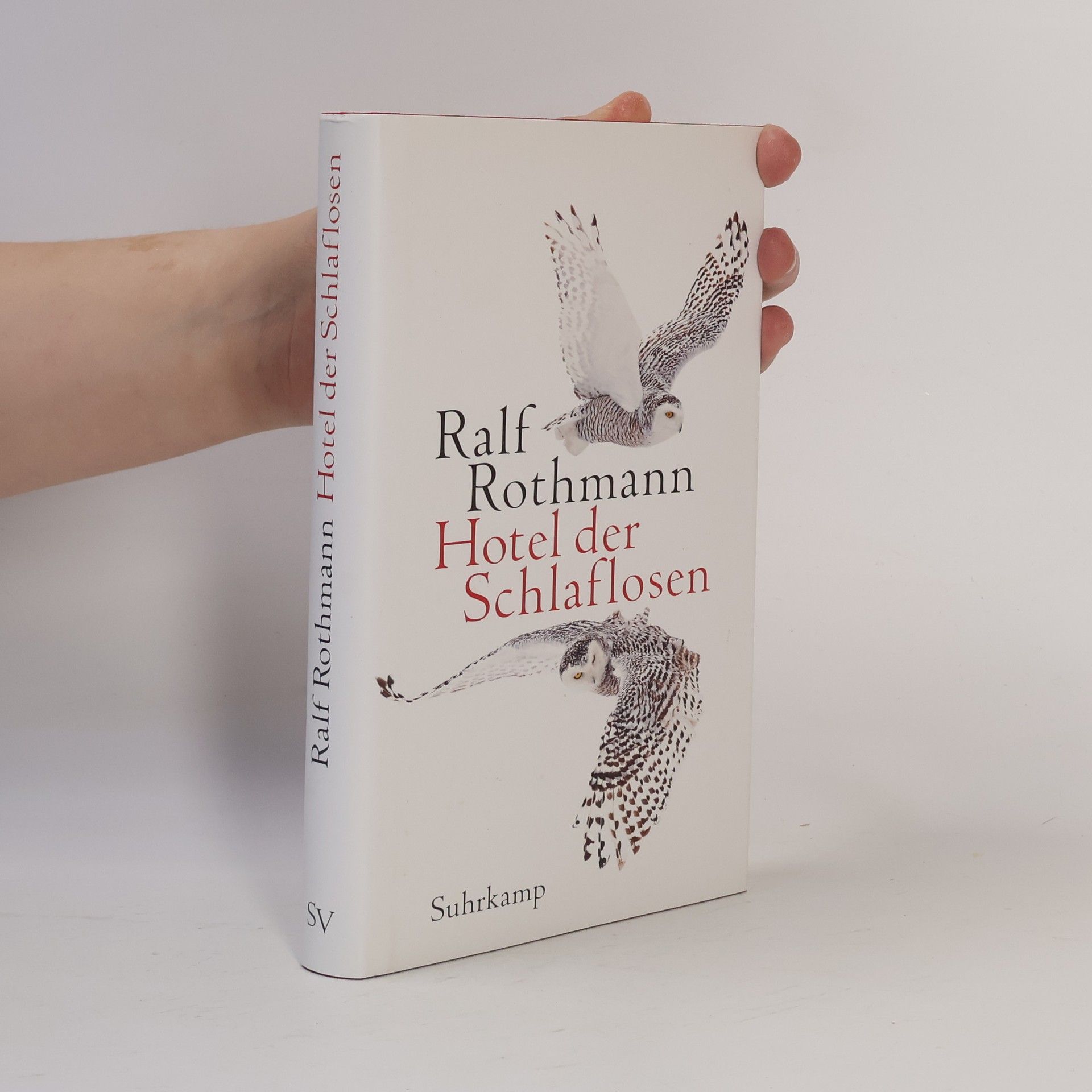 Ralf Rothmann Hotel der Schlaflosen