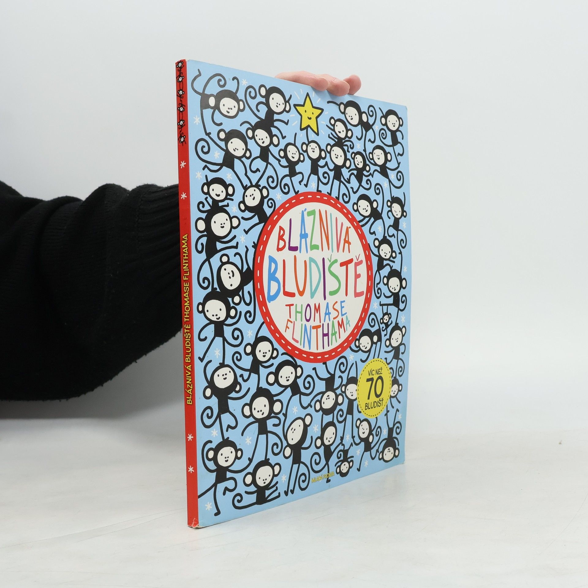 Bláznivá bludiště