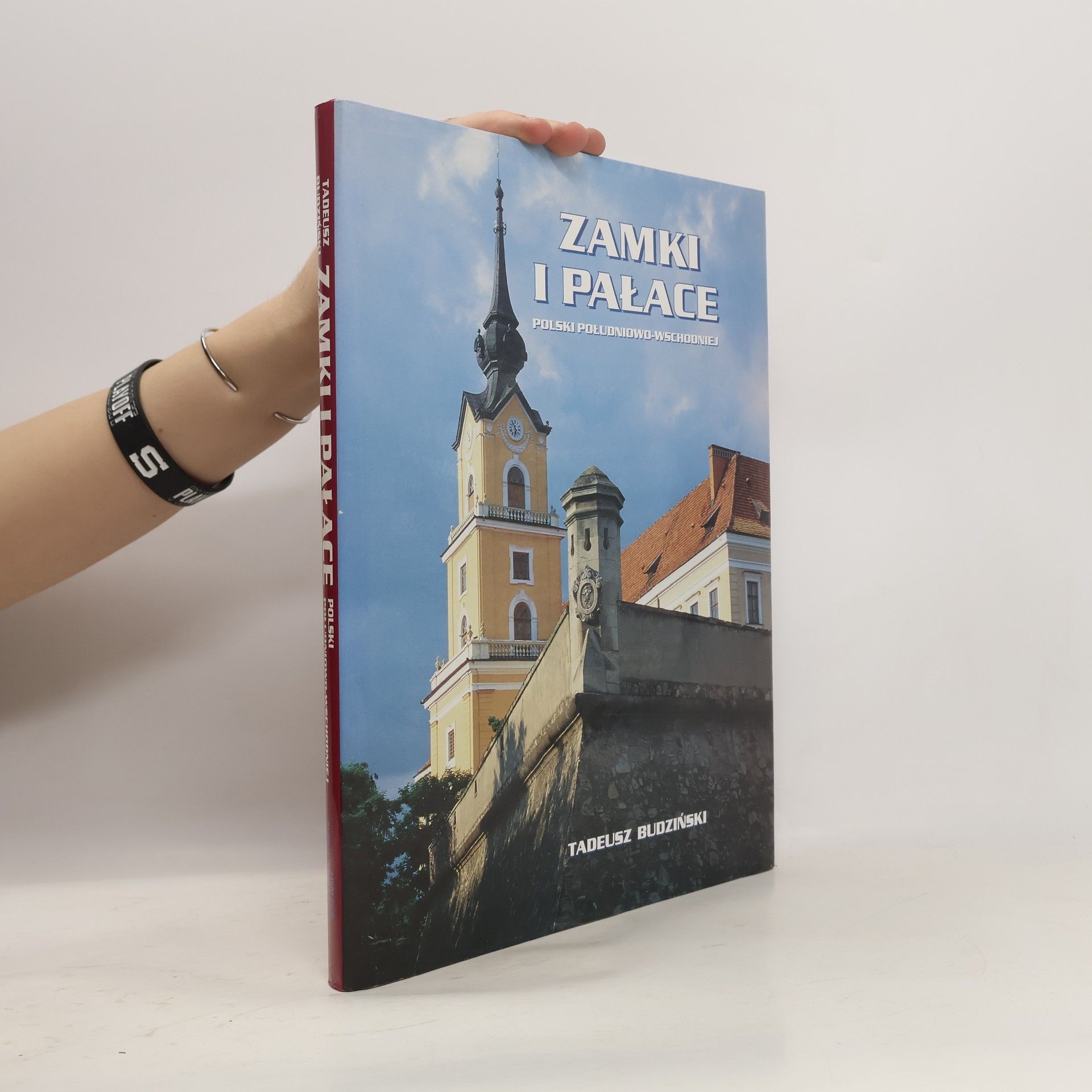 Tadeusz Budziński Zamki i pałace Polski południowo-wschodniej