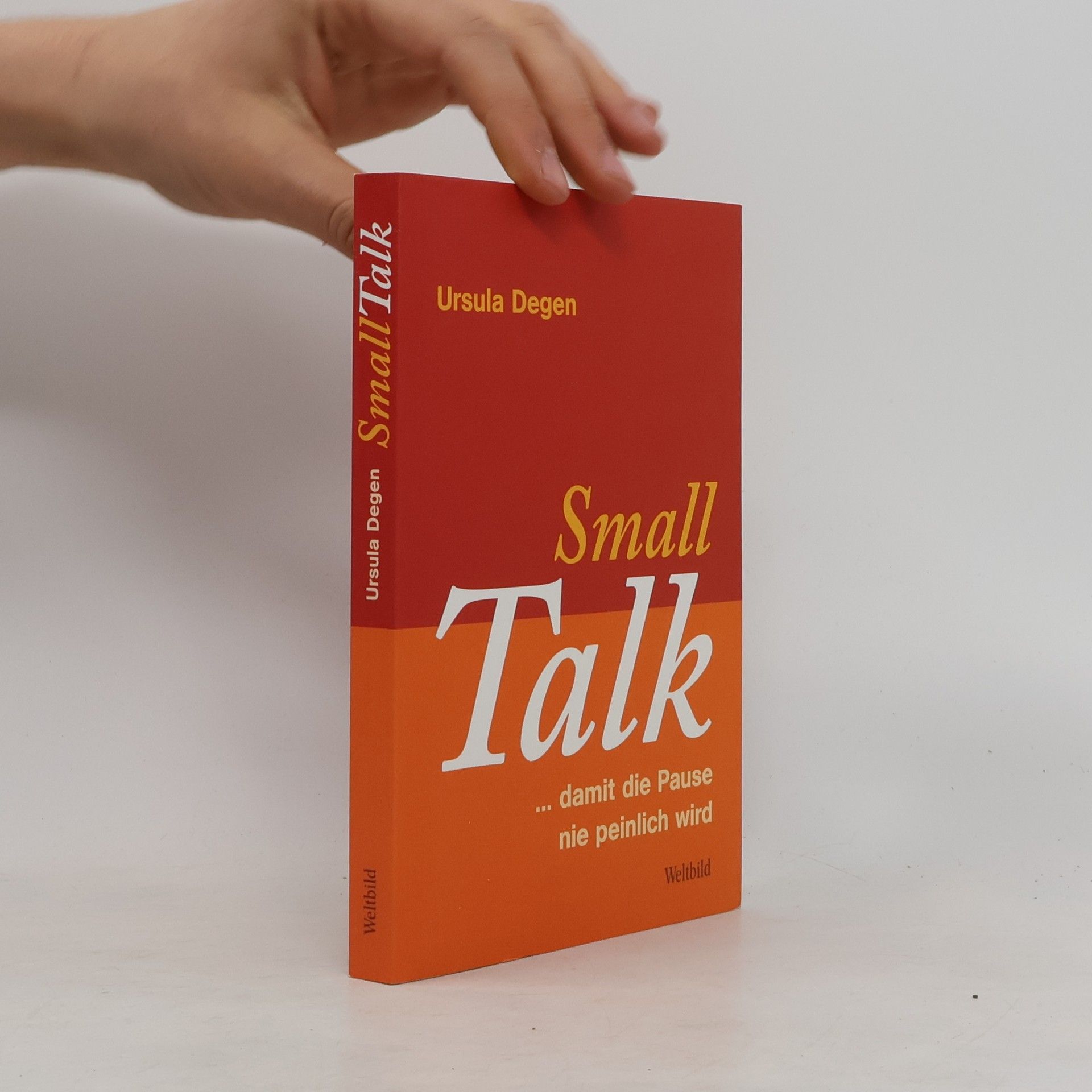 Ursula Degen Small Talk