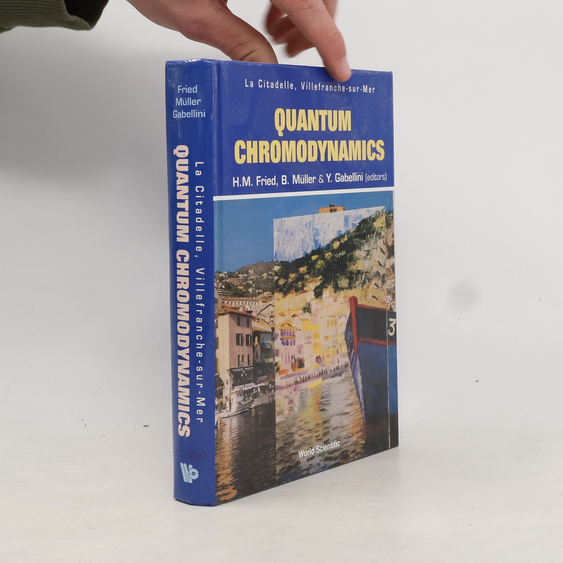 Herbert Martin Fried Quantum Chromodynamics