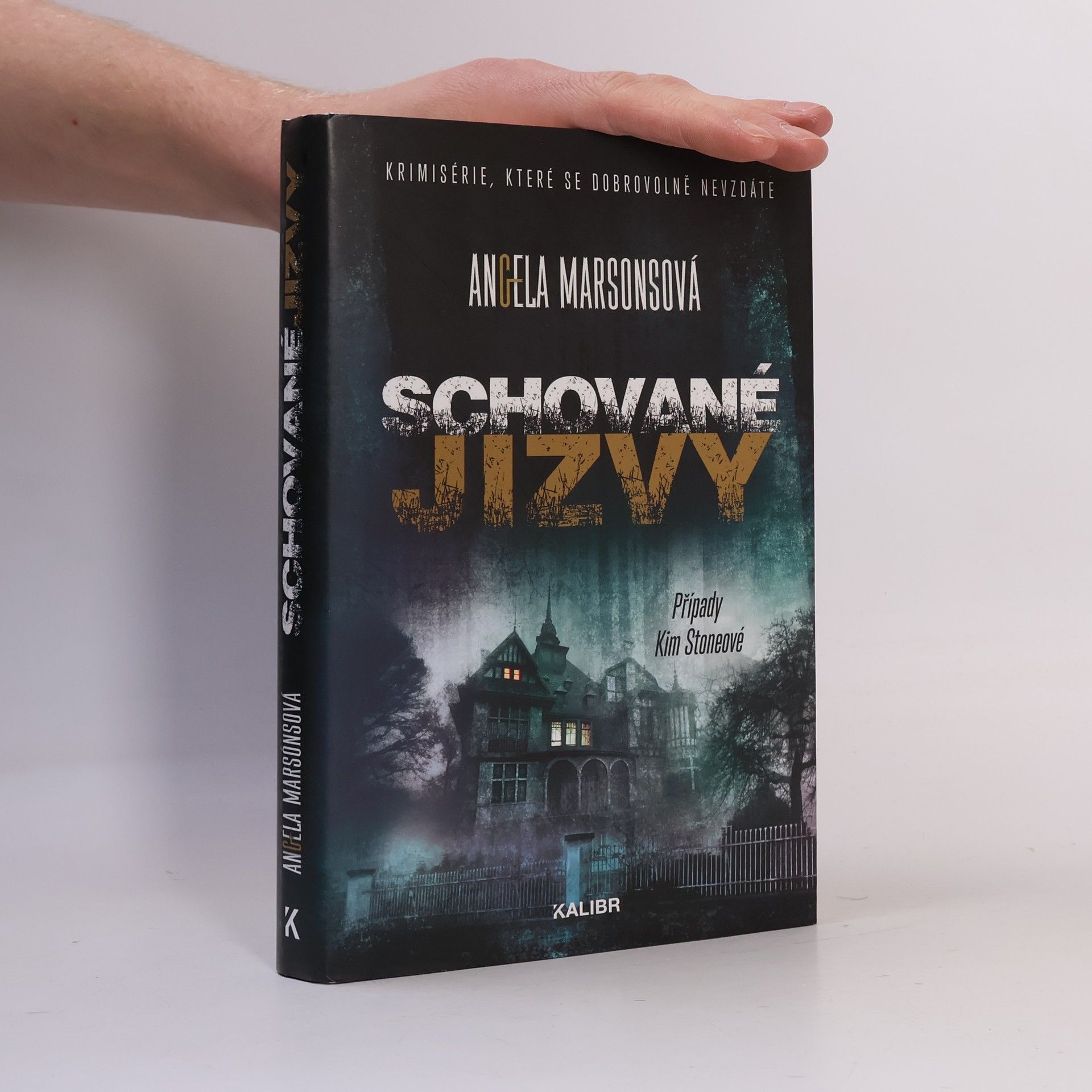 Angela Marsons Schované jizvy