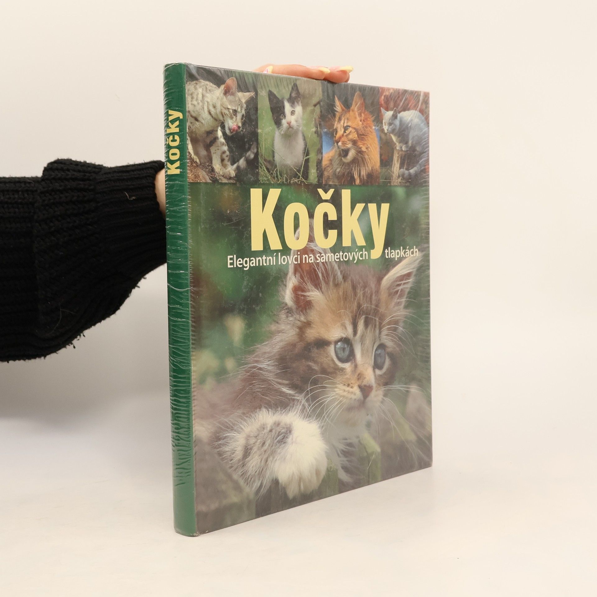 Birgit Adam Kočky. Elegantní lovci na sametových tlapkách