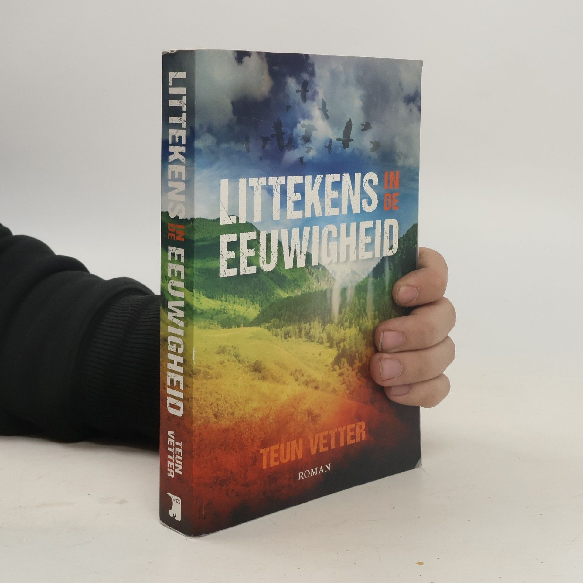 Teun Vetter Littekens in de eeuwigheid
