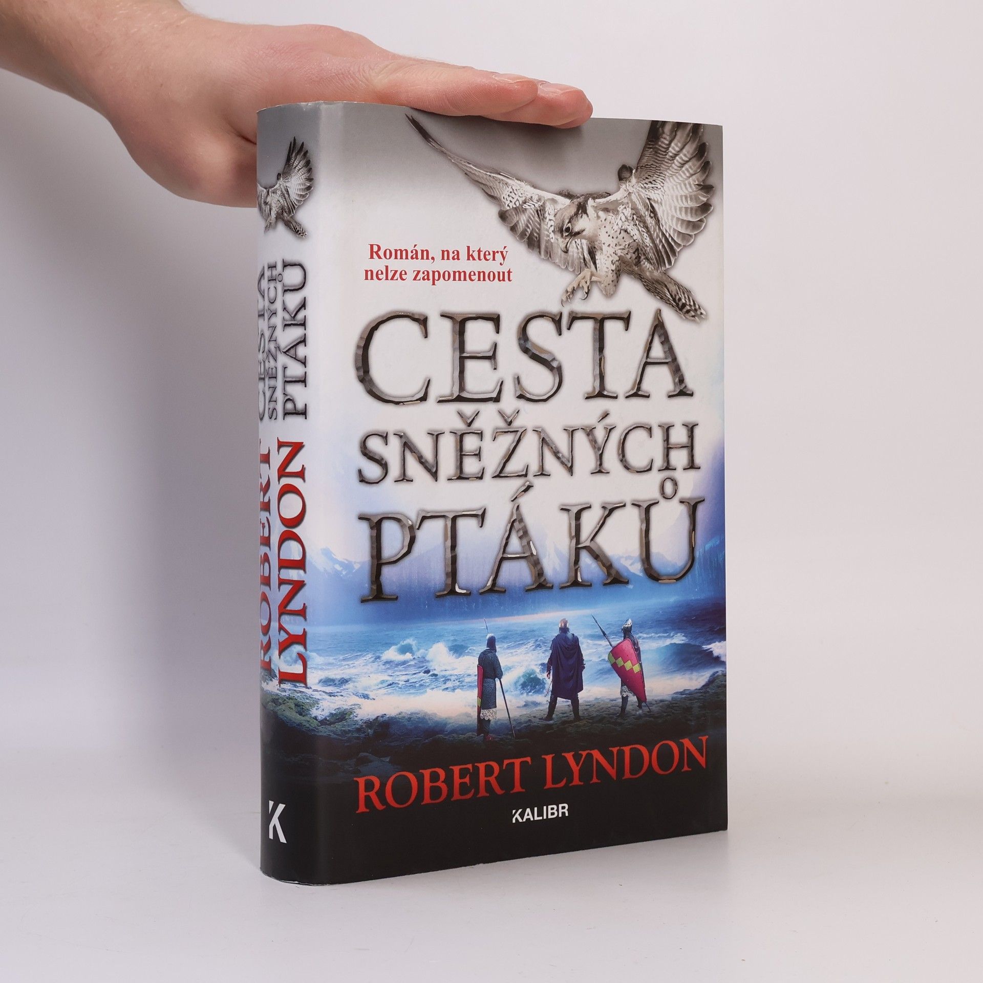 Robert Lyndon Cesta sněžných ptáků