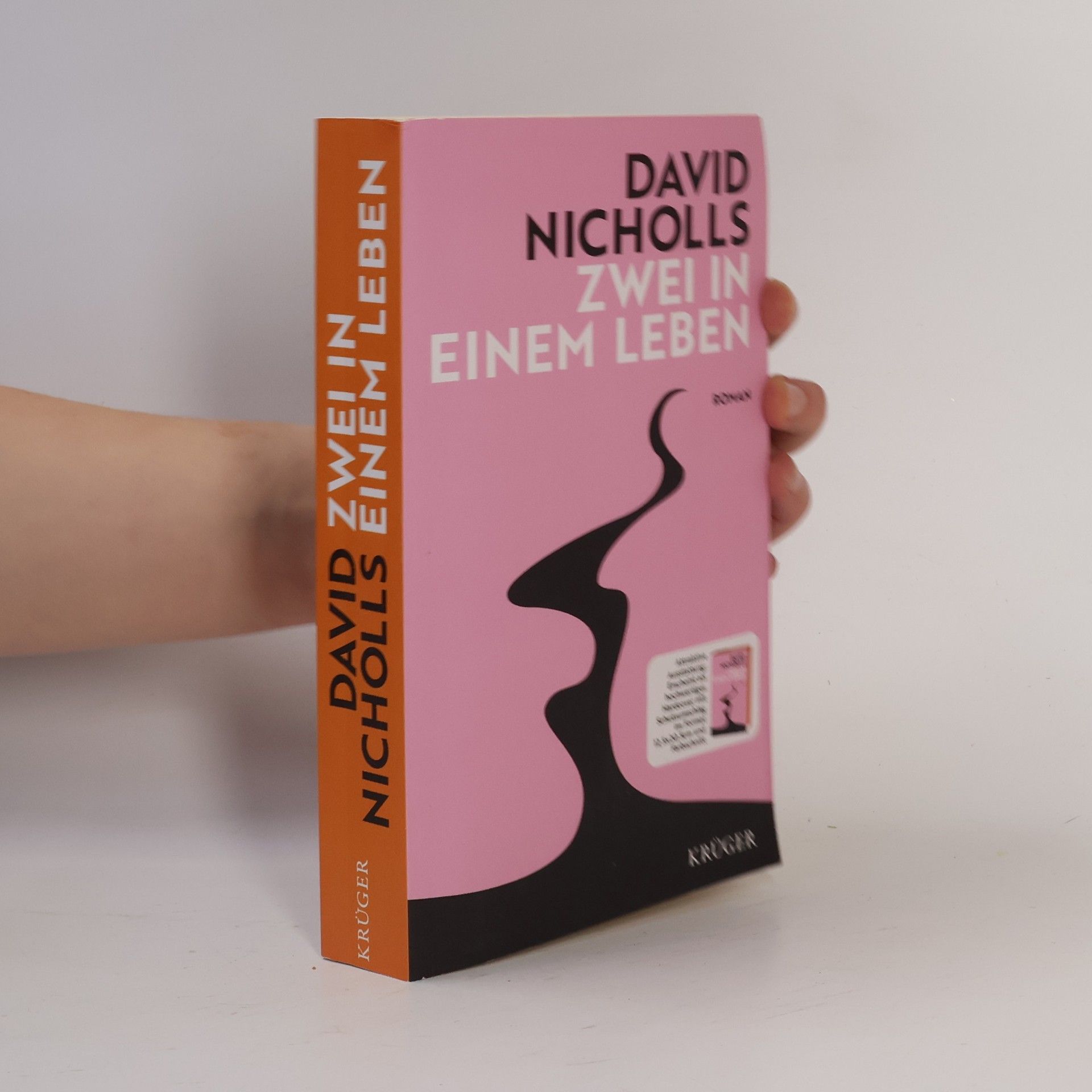 David Nicholls Zwei in einem Leben
