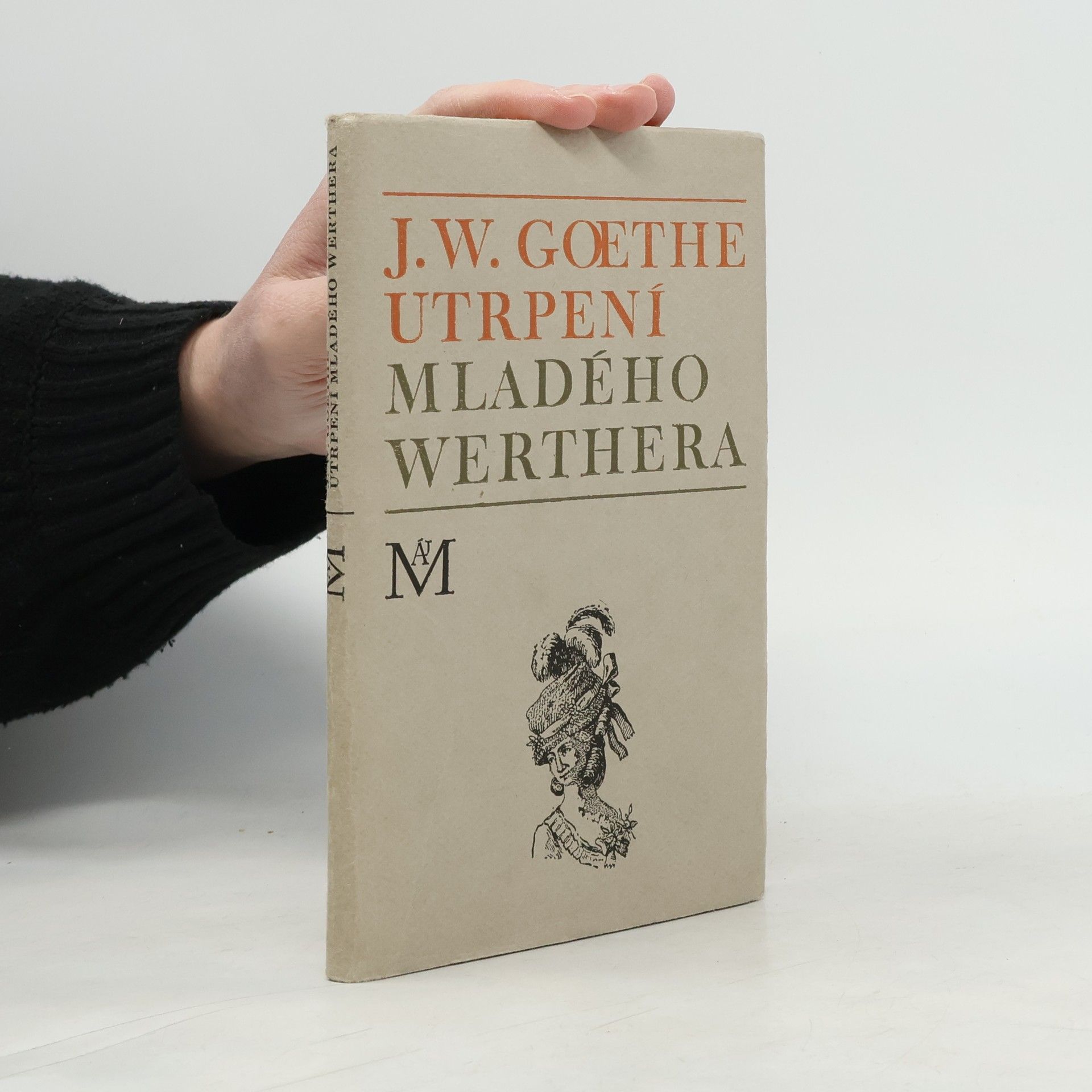 Utrpení mladého Werthera
