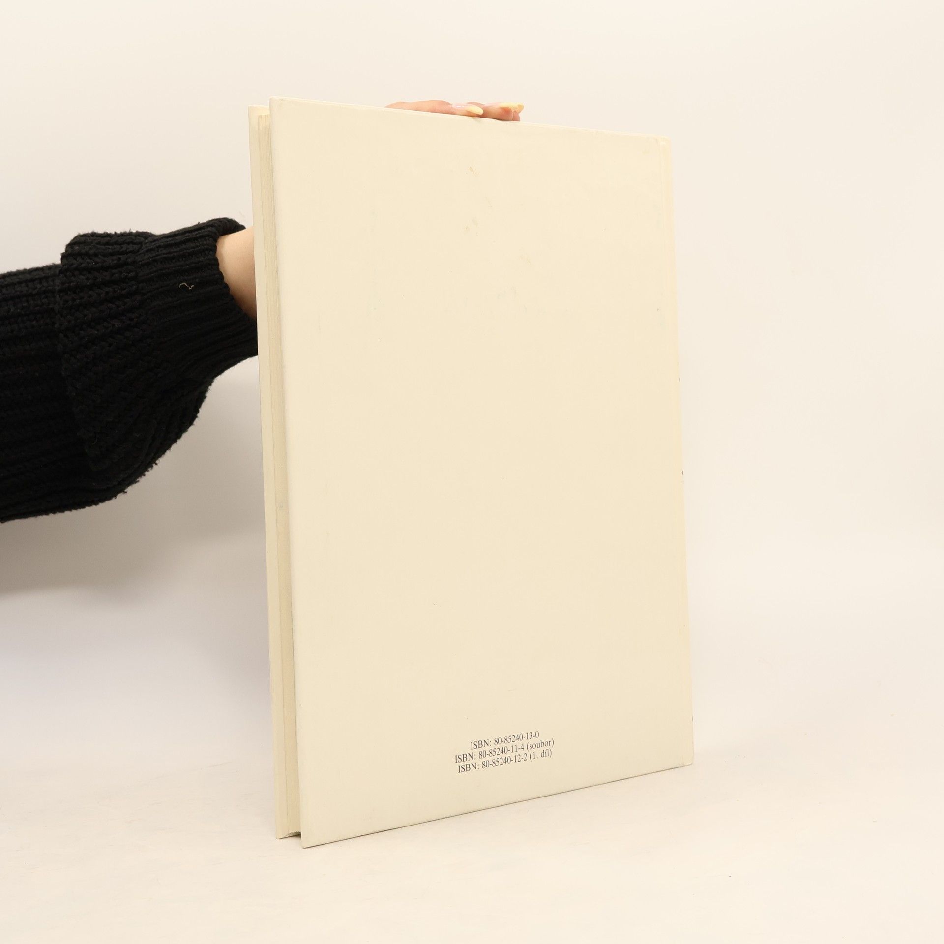 Alena Boráková Dětská bible. Nový zákon