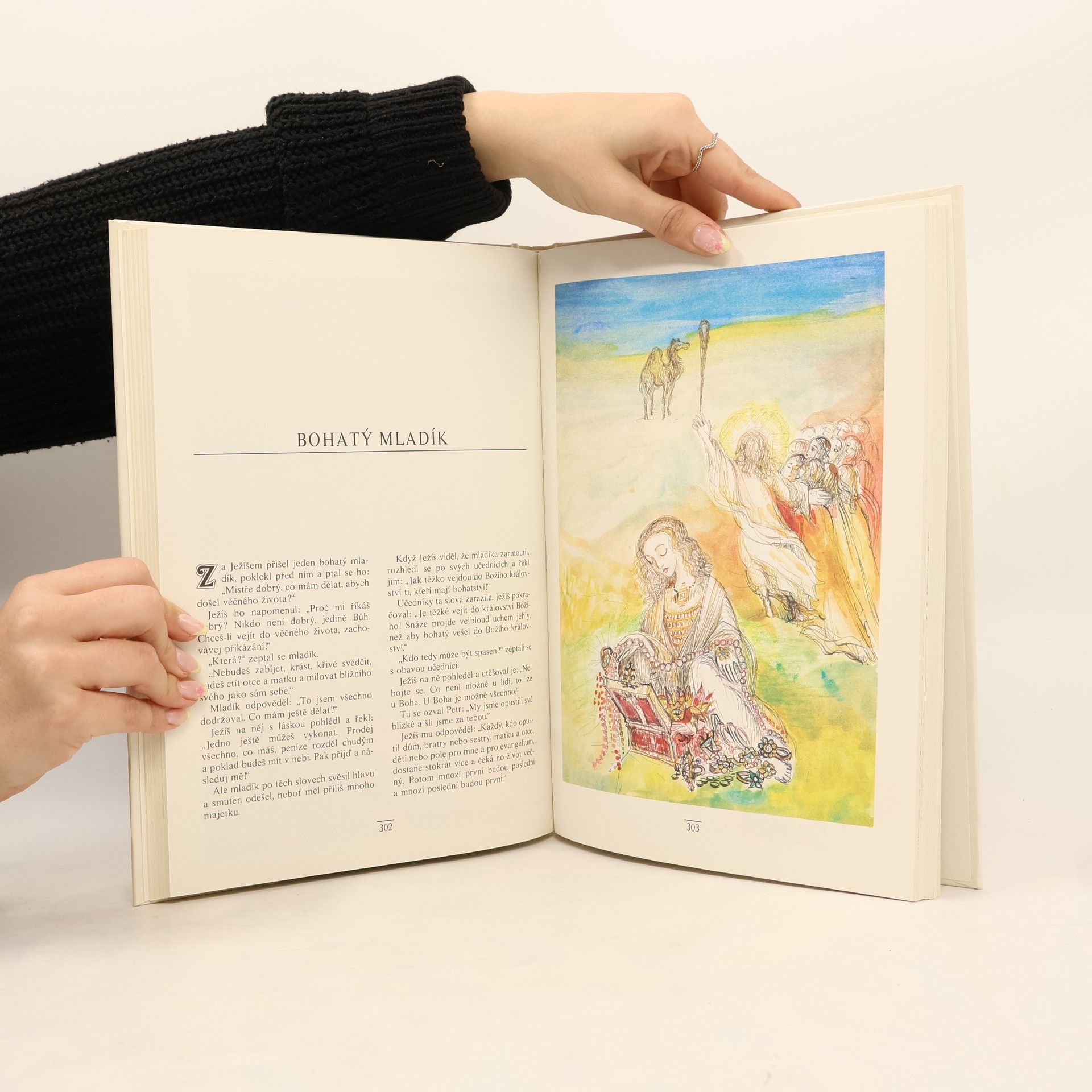 Alena Boráková Dětská bible. Nový zákon