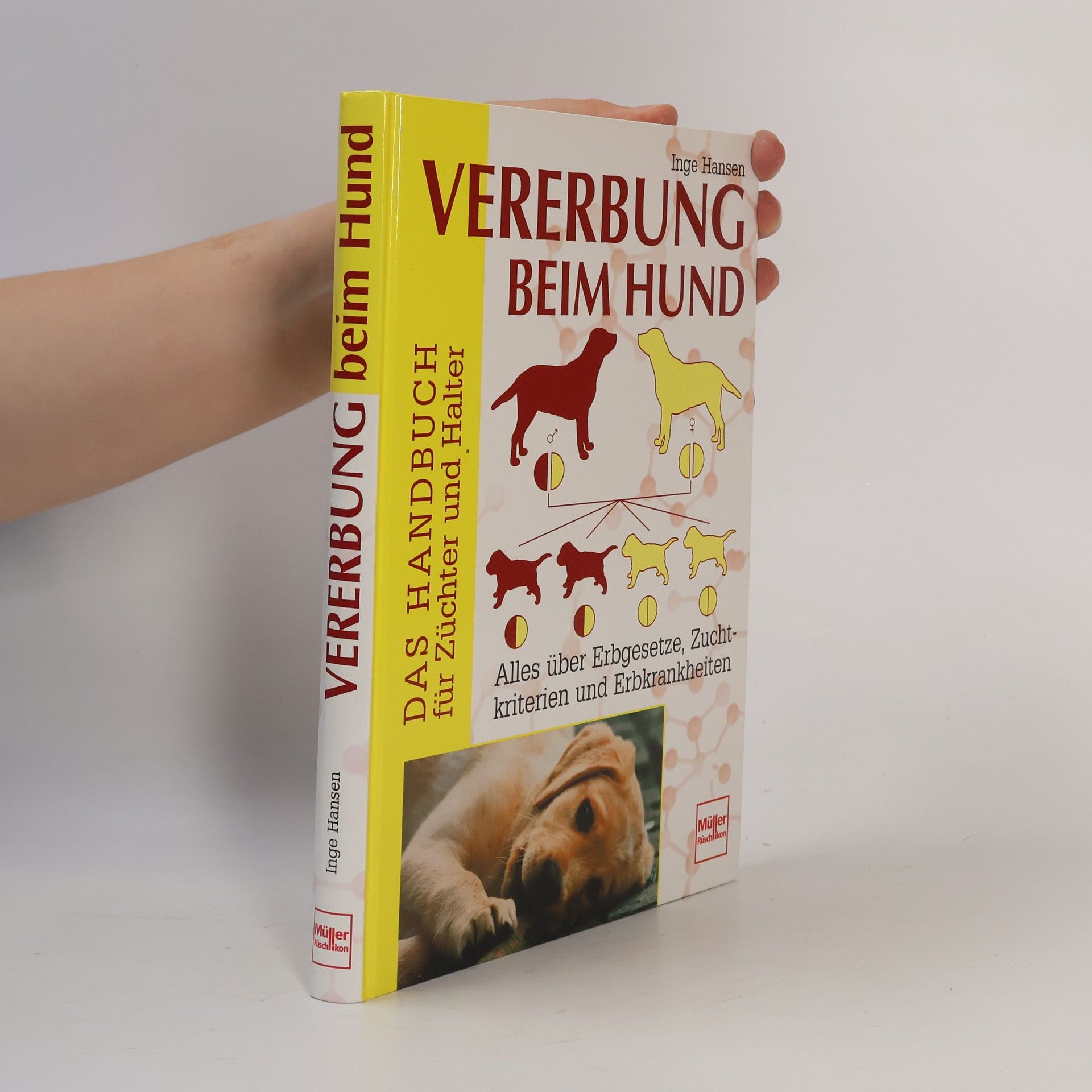 Vererbung beim Hund
