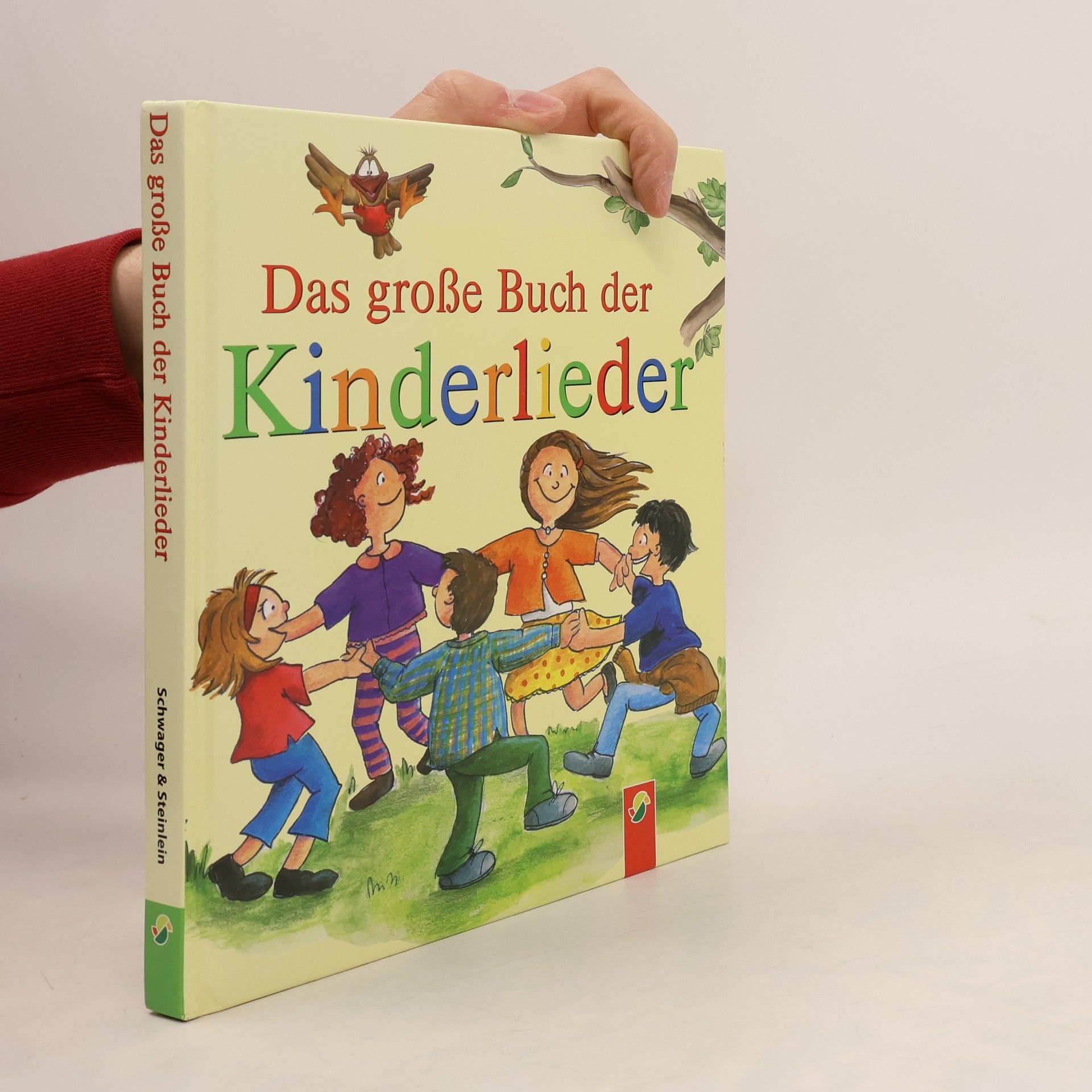 Auteurscollectief Das große Buch der Kinderlieder
