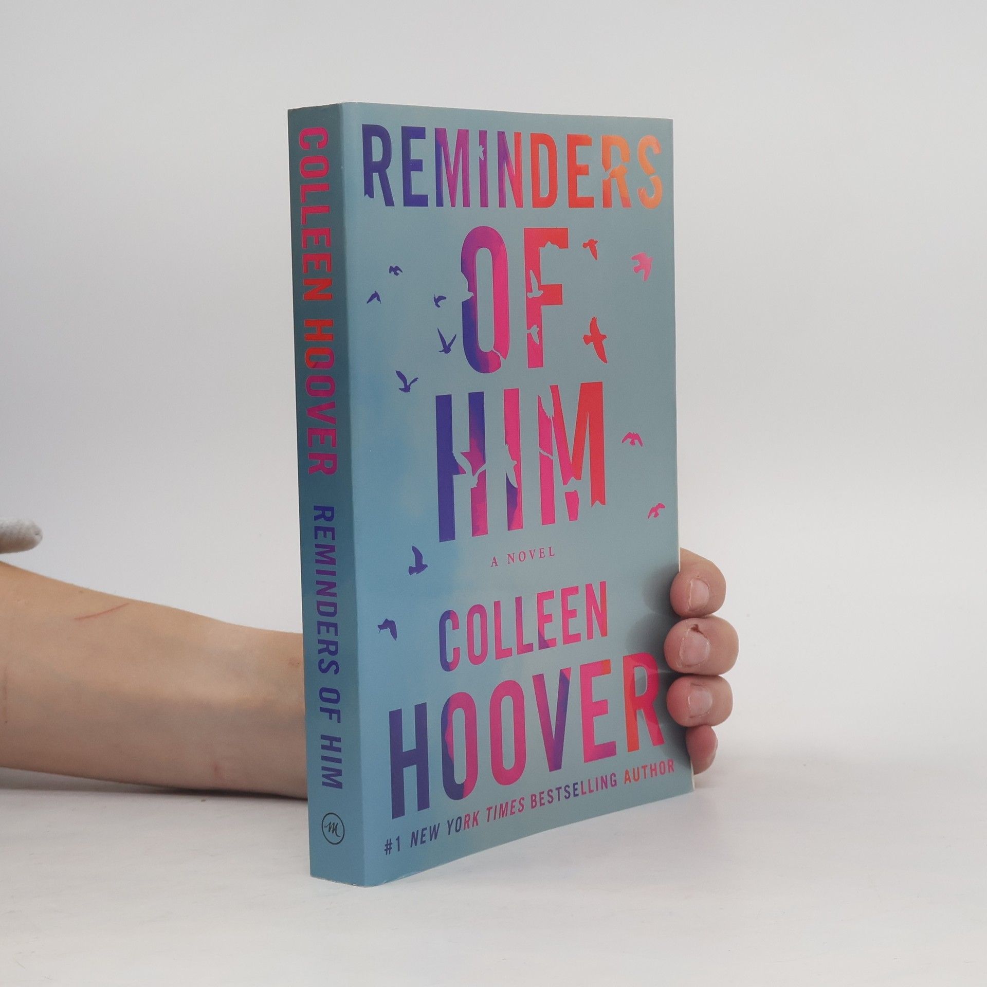 Colleen Hoover Reminders of him