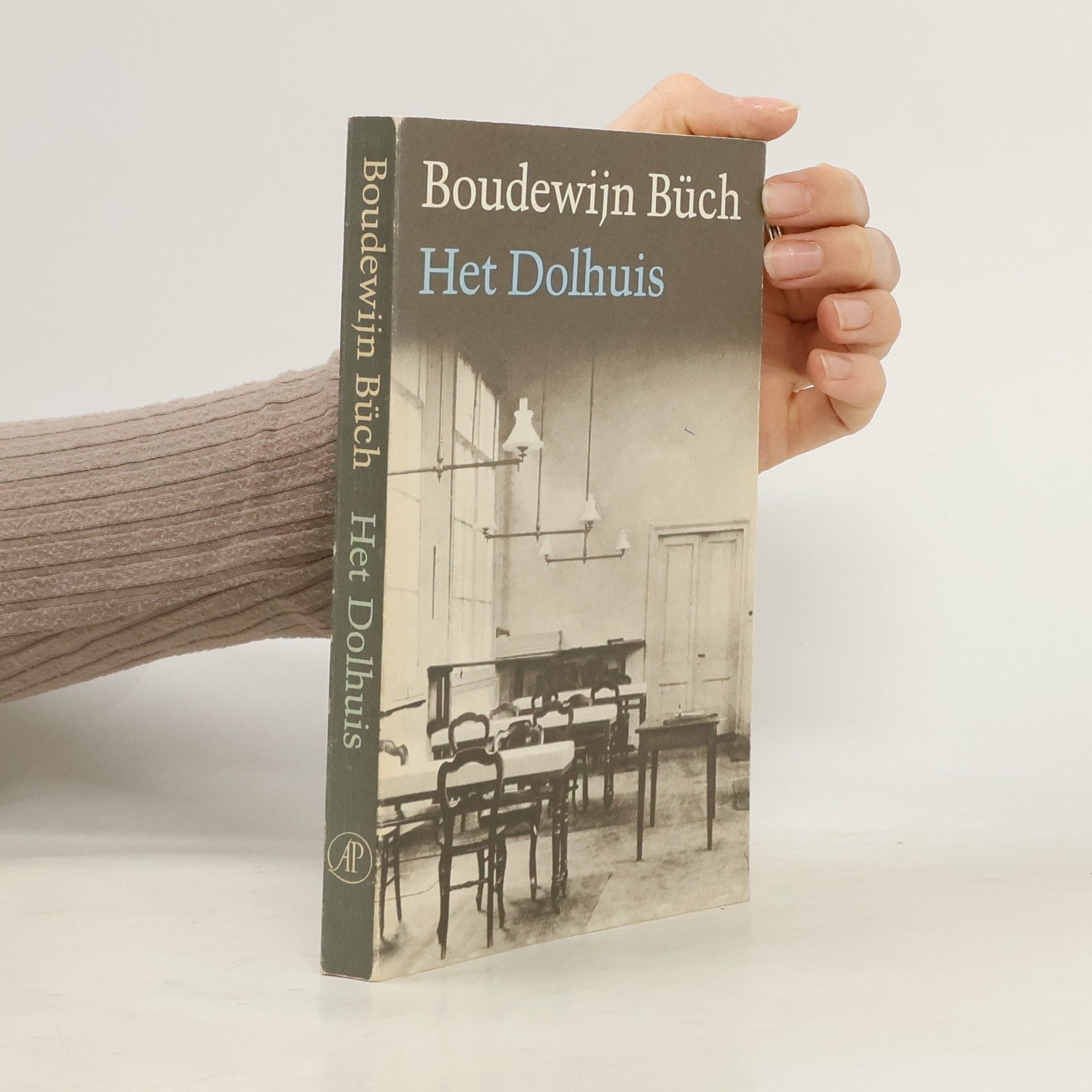 Boudewijn Büch Het dolhuis