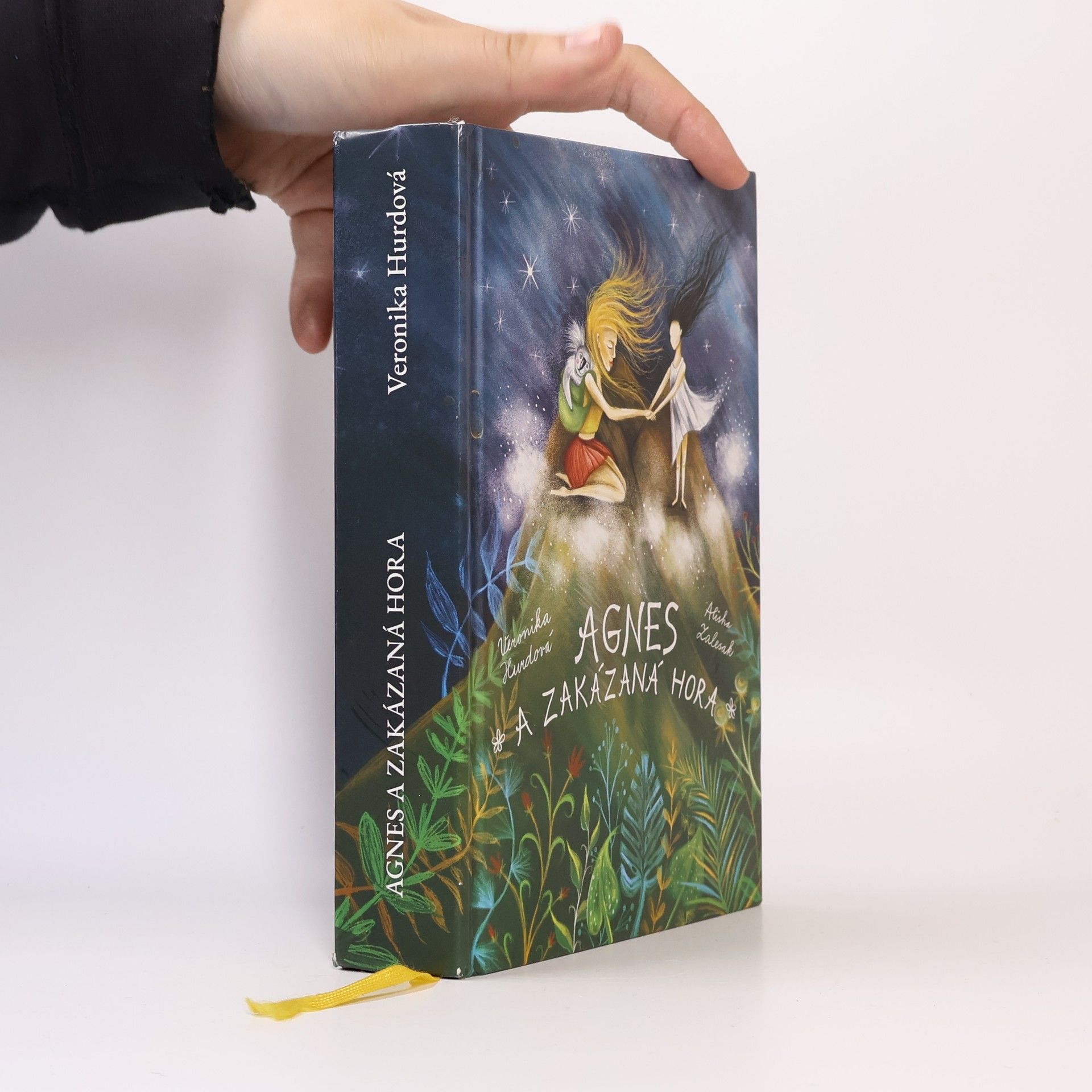 Veronika Hájek Hurdová Agnes a Zakázaná hora