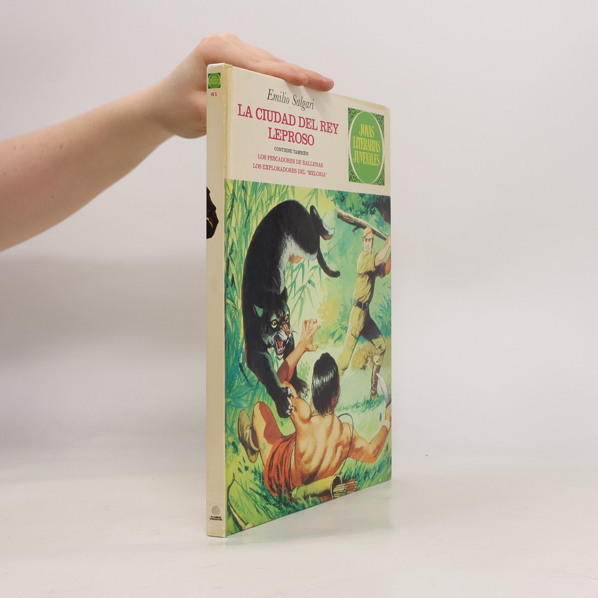 La Ciudad del rey leproso