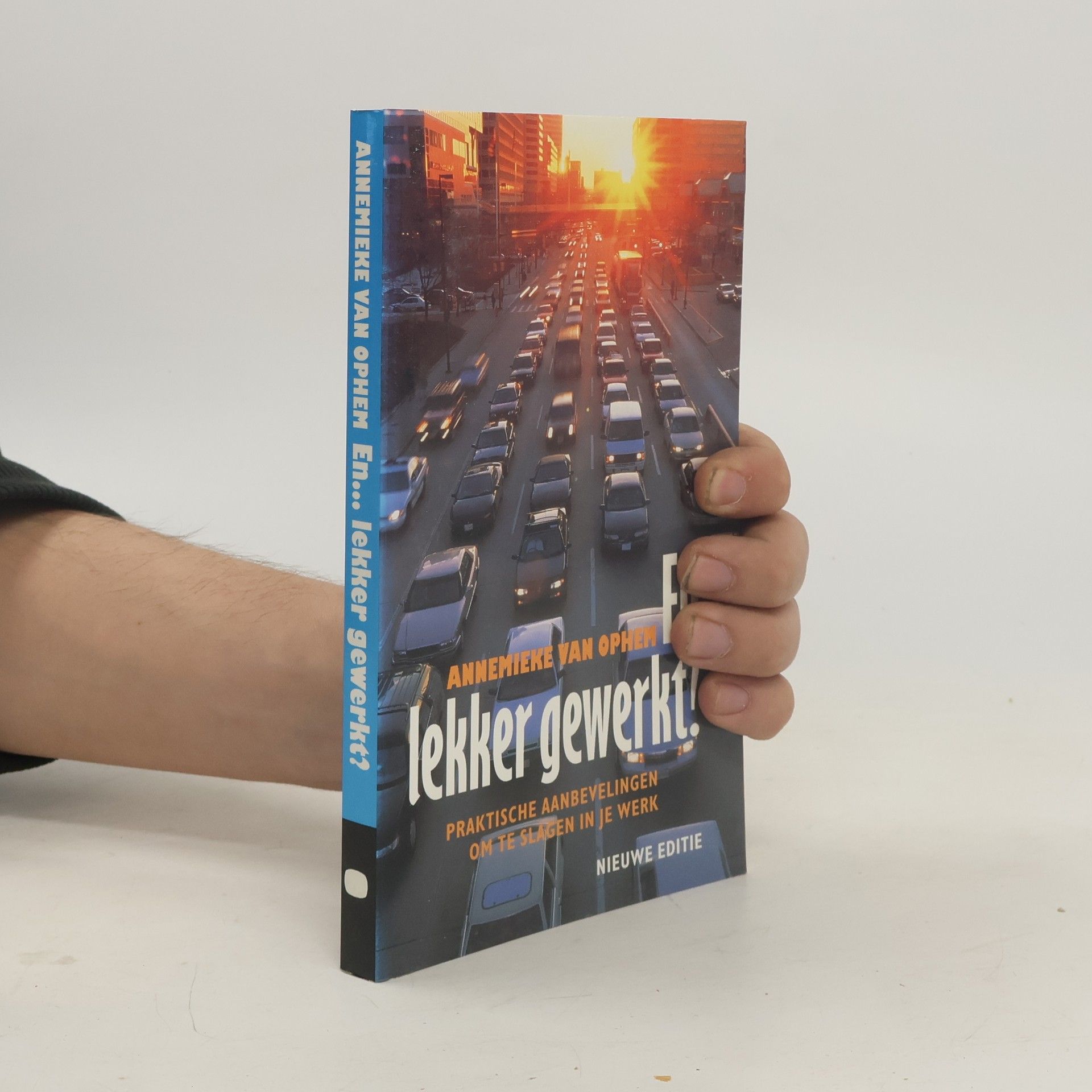 Annemieke van Ophem En... lekker gewerkt?