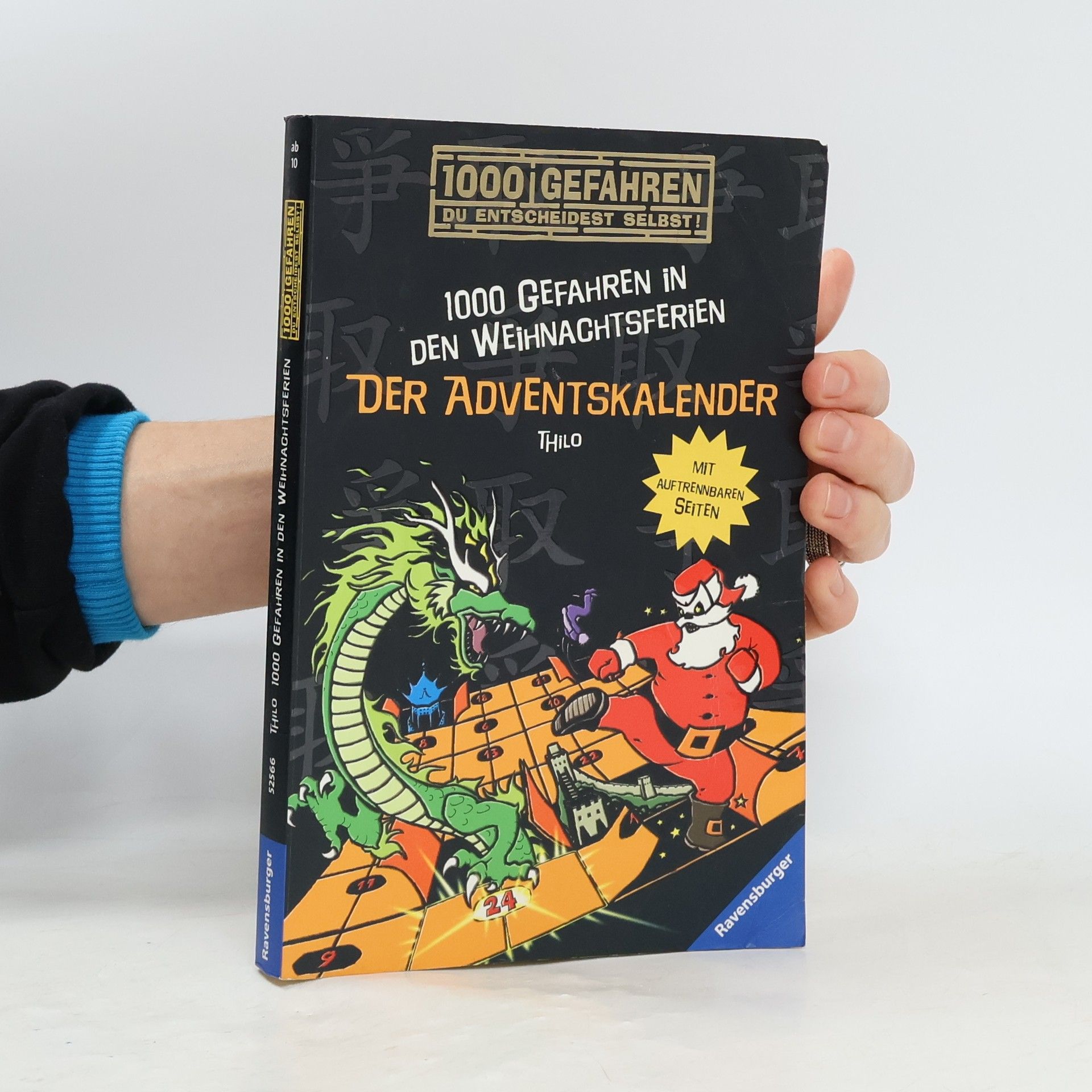 Thilo Petry-Lassak 1000 Gefahren in den Weihnachtsferien