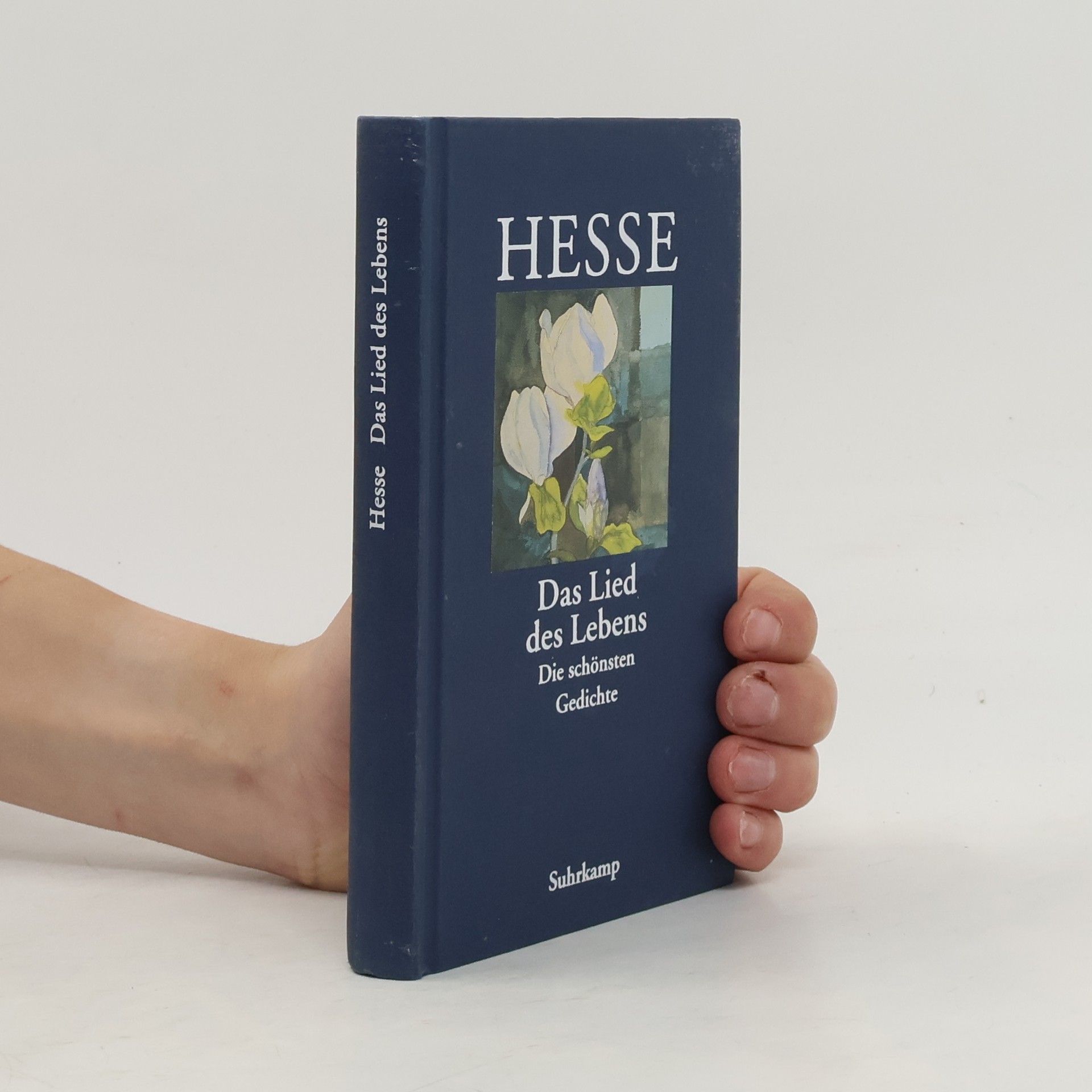 Hermann Hesse Das Lied des Lebens. Die schönsten Gedichte von Hermann Hesse
