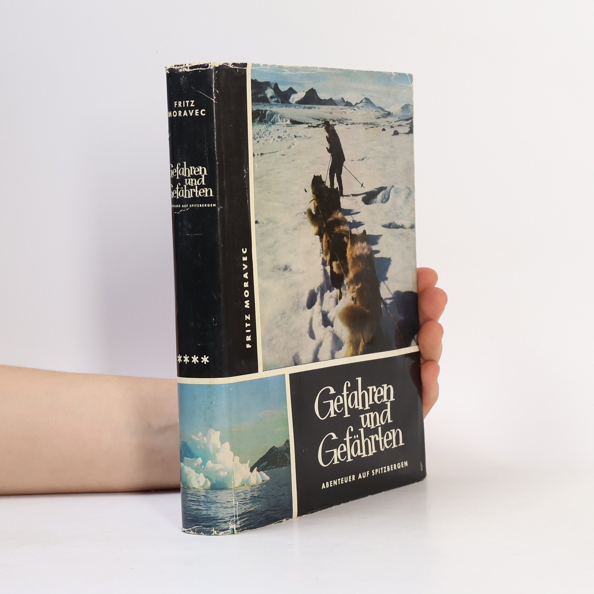 Gefahren und Gefährten