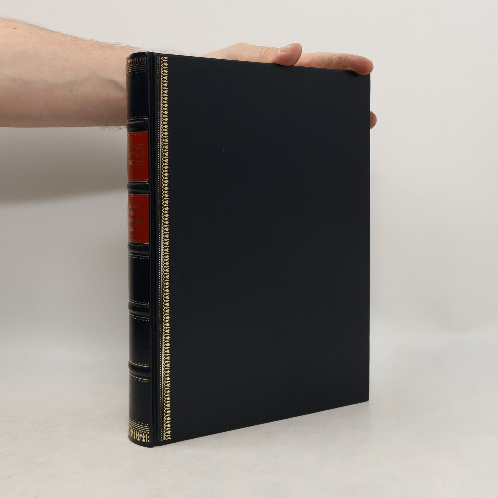 Heinrich Pleticha Urgeschichte und Altertum, vom Beginn der Menschheit bis zum Ende Roms