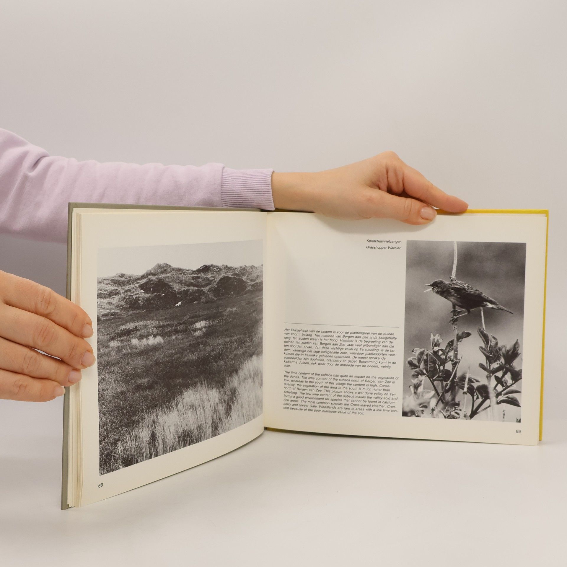 T. W. M. Bakker Duinen, van zand tot landschap