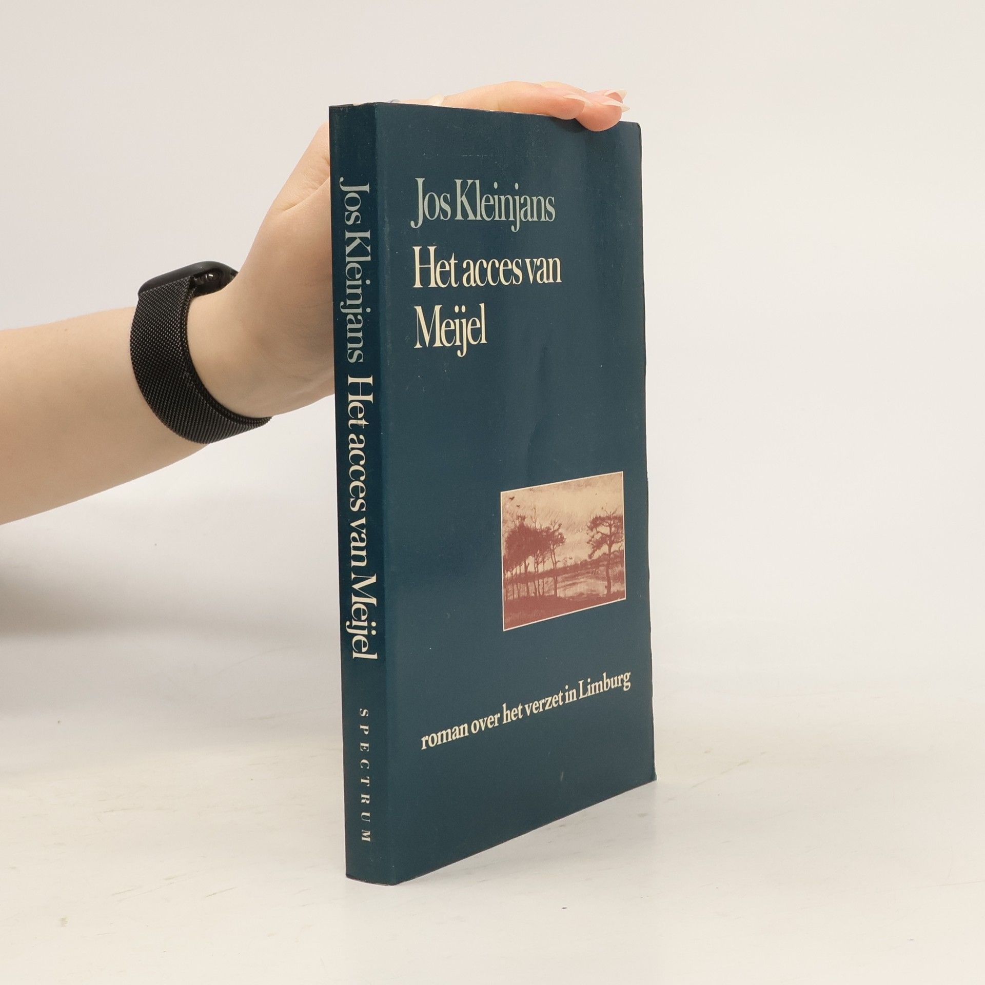 Jos Kleinjans Het acces van Meijel