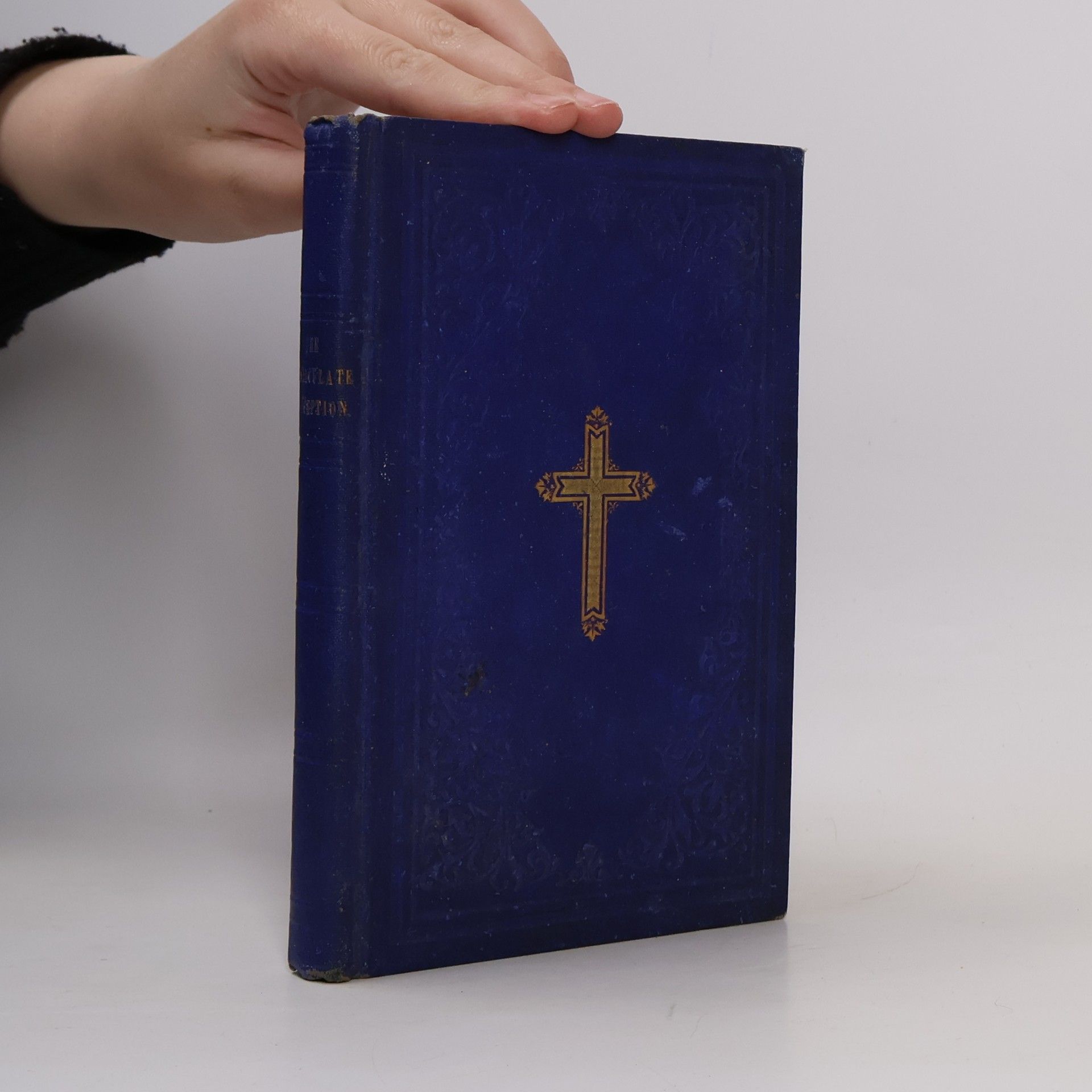 Hilary Maurice Vigo The Immaculate Conception