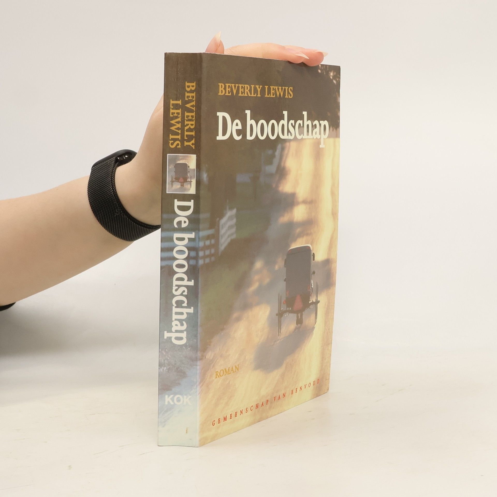 Beverly Lewis De Boodschap