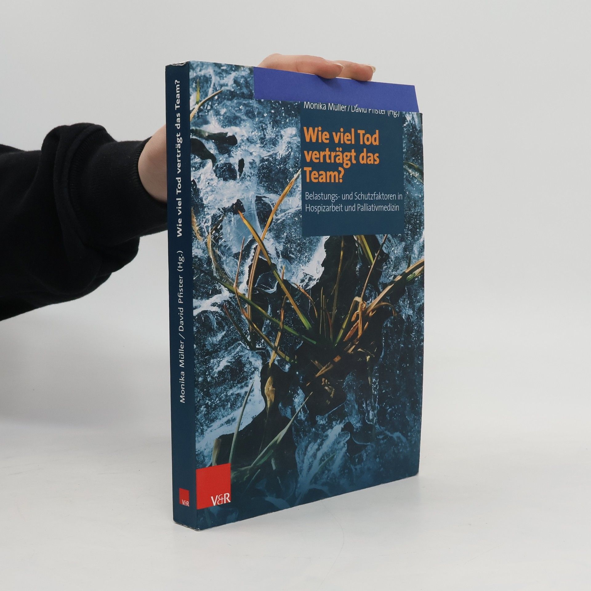 Monika Müller Wie viel Tod verträgt das Team?