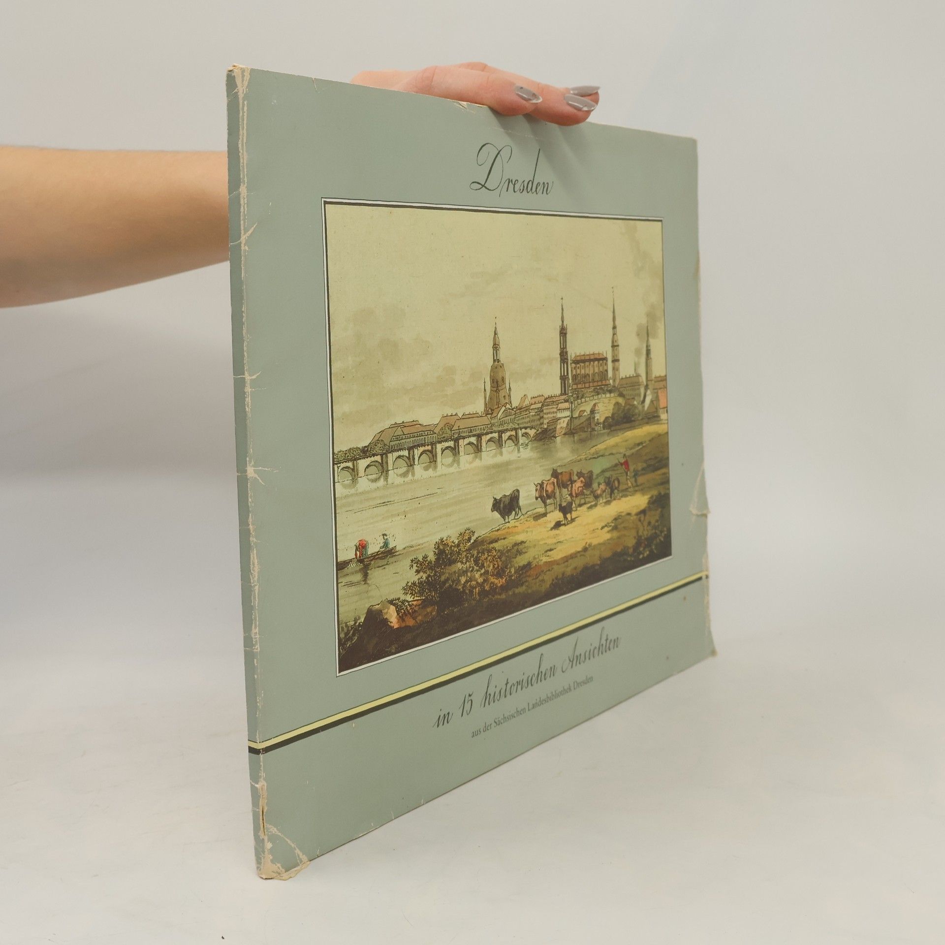 Various authors Dresden in 15 historischen Ansichten