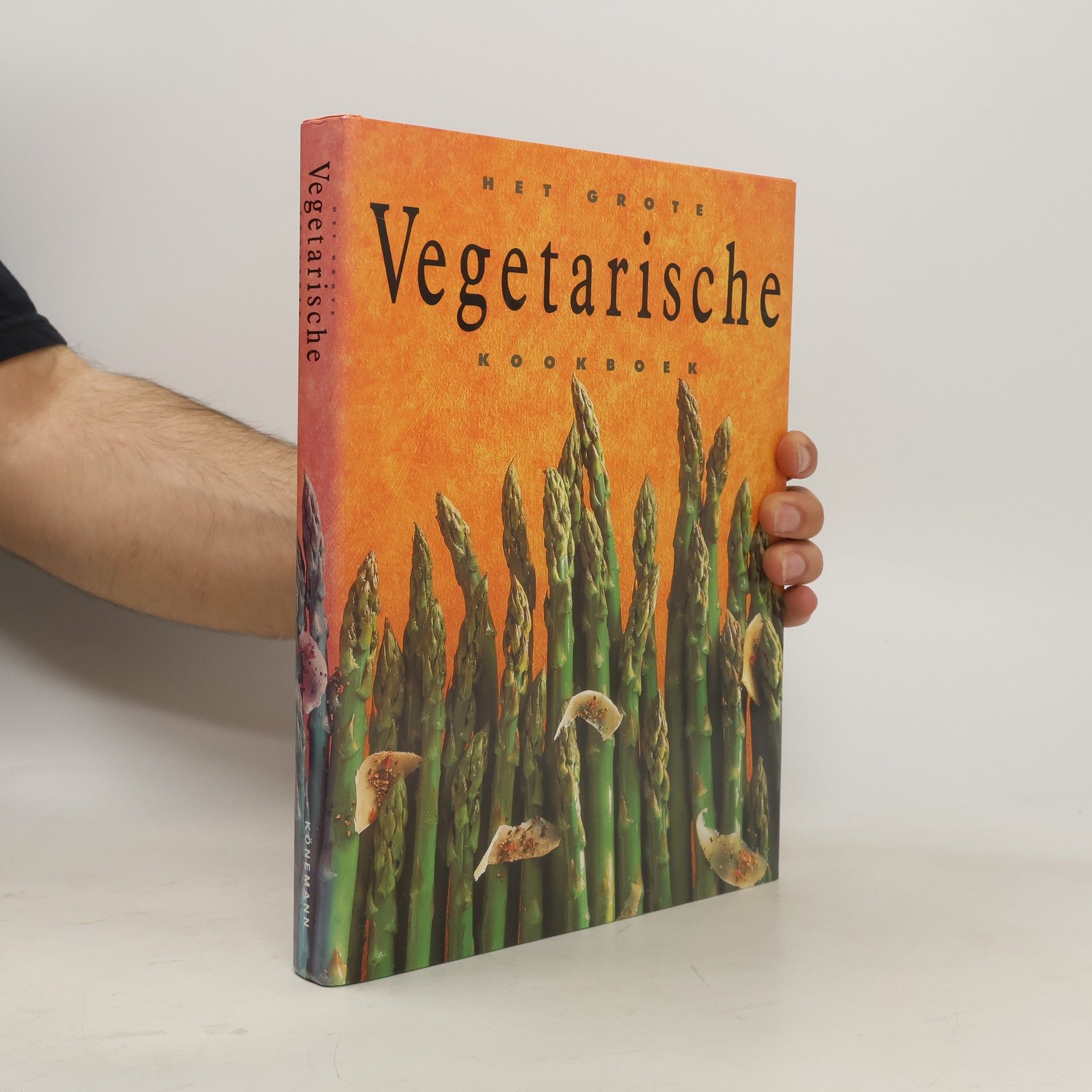 Anna Vesting Het grote vegetarische kookboek