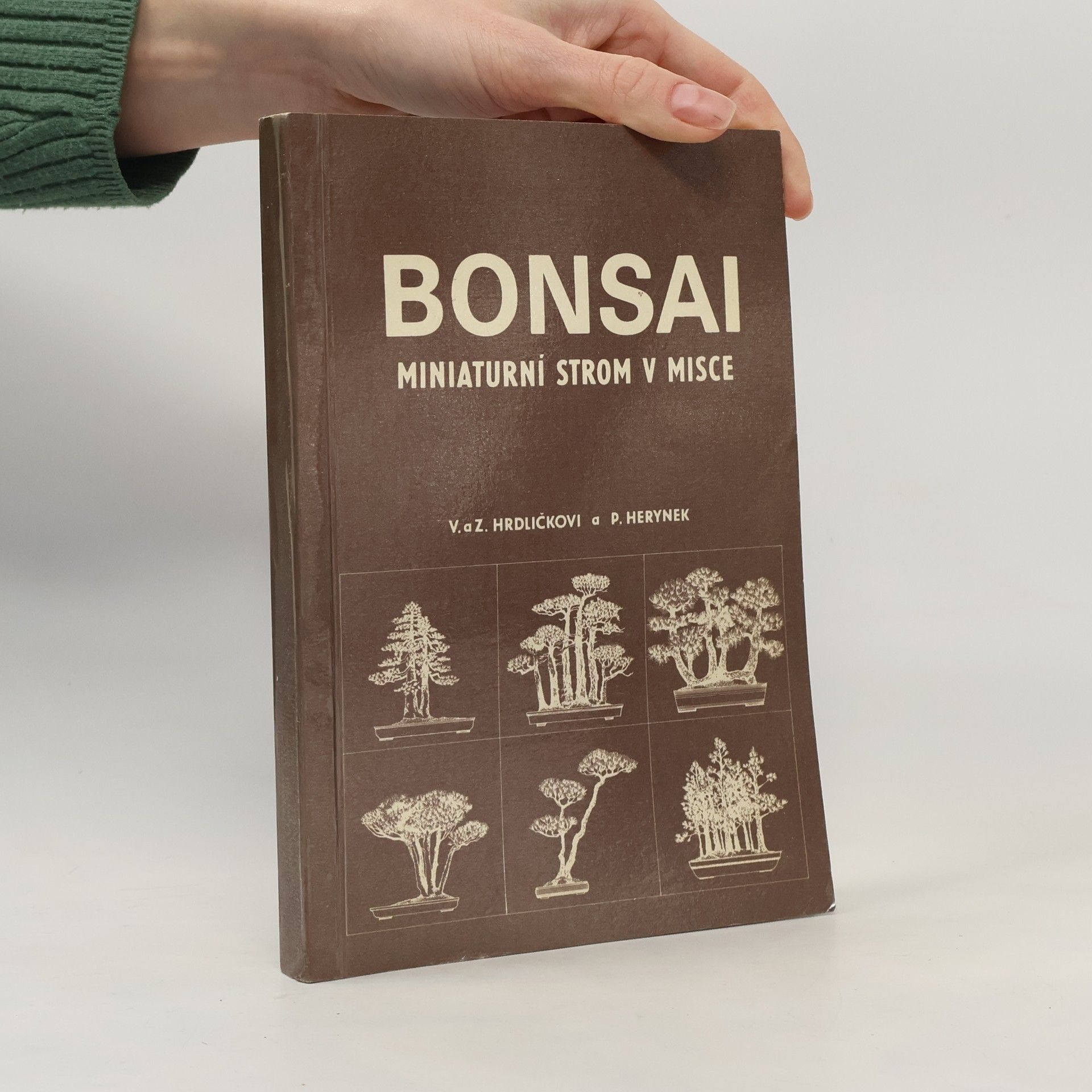 Bonsai. Miniaturní strom v misce