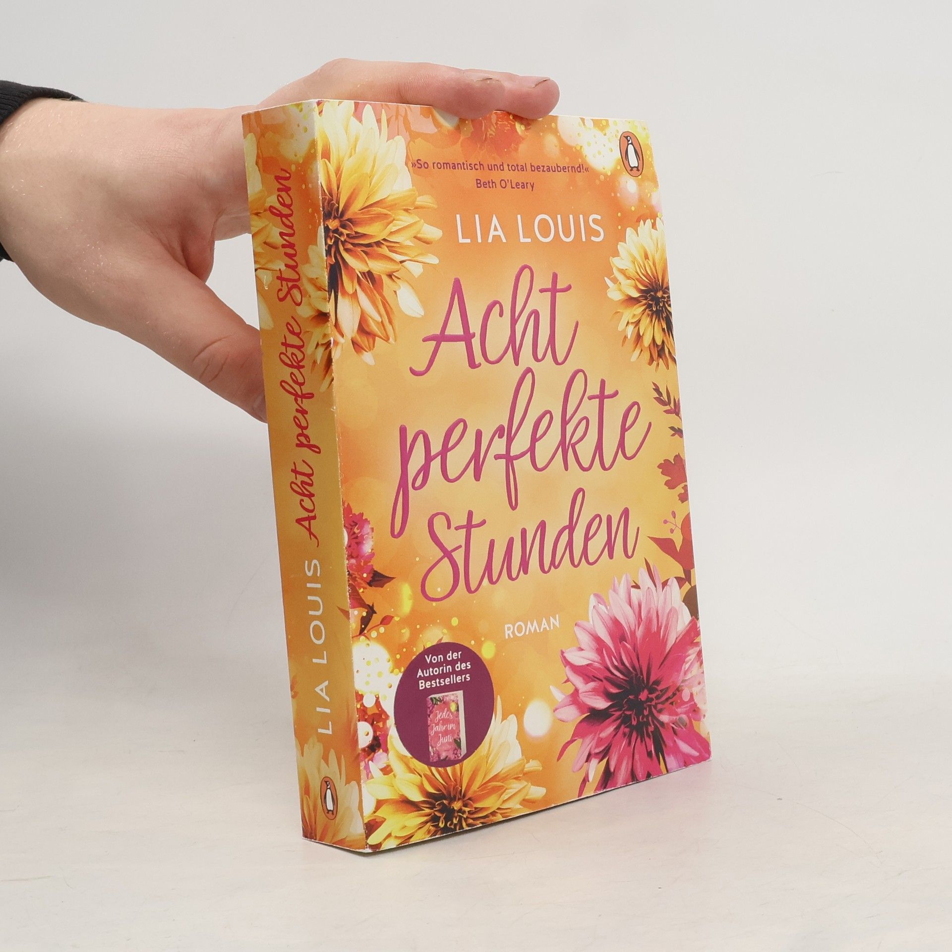 Lia Louis Acht perfekte Stunden