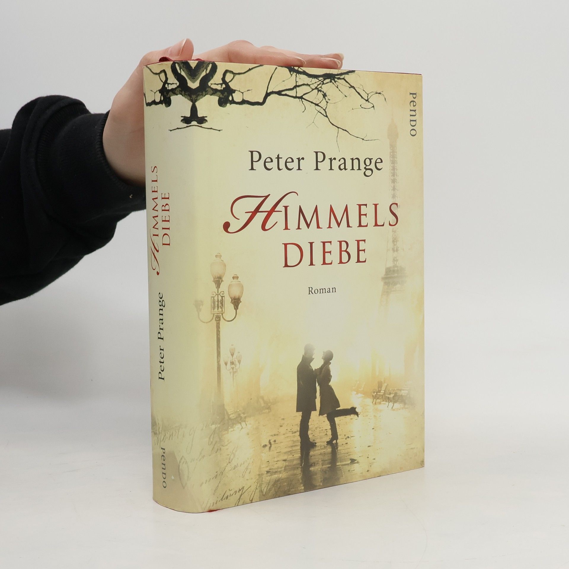 Peter Prange Himmelsdiebe