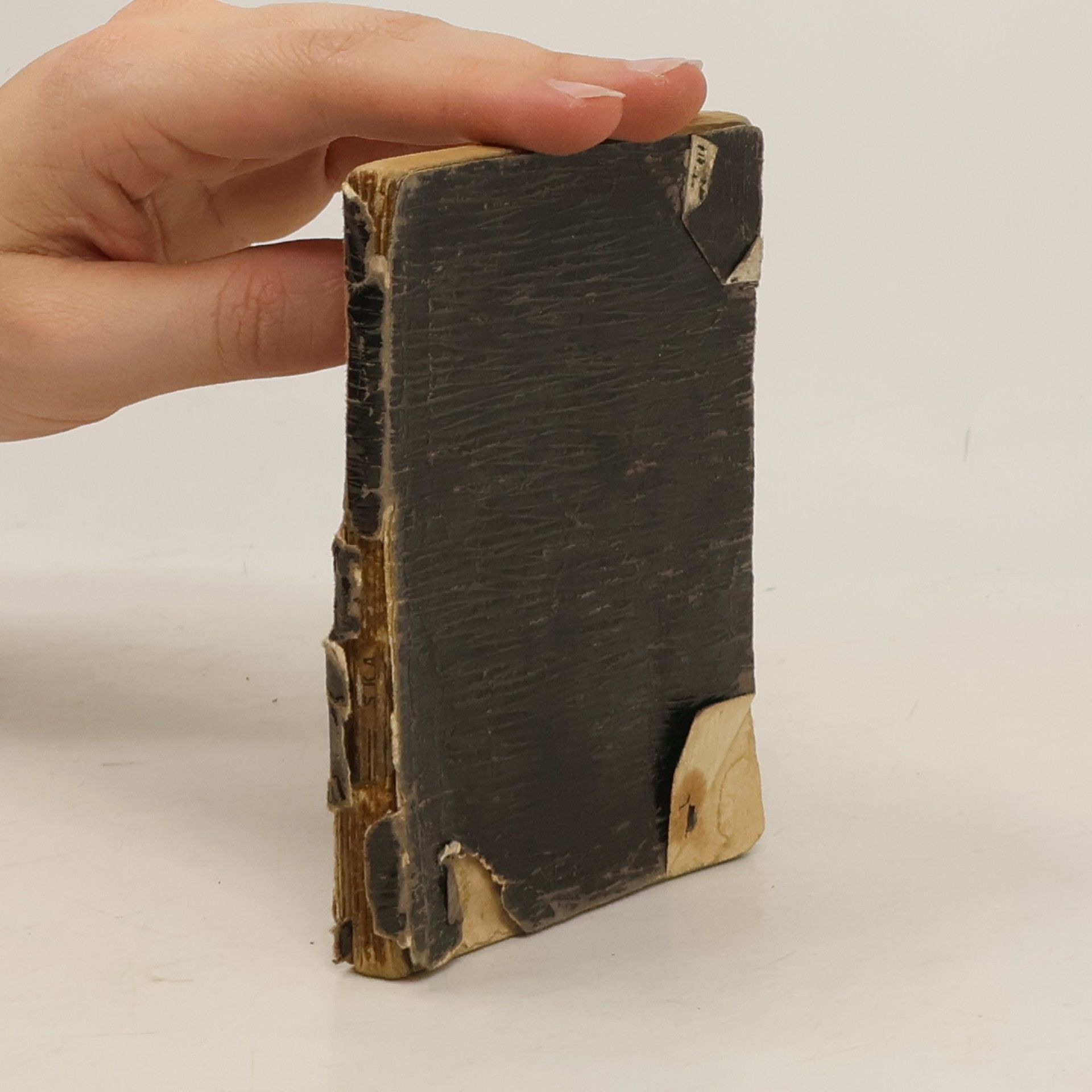 AA.VV. Skautská příručka