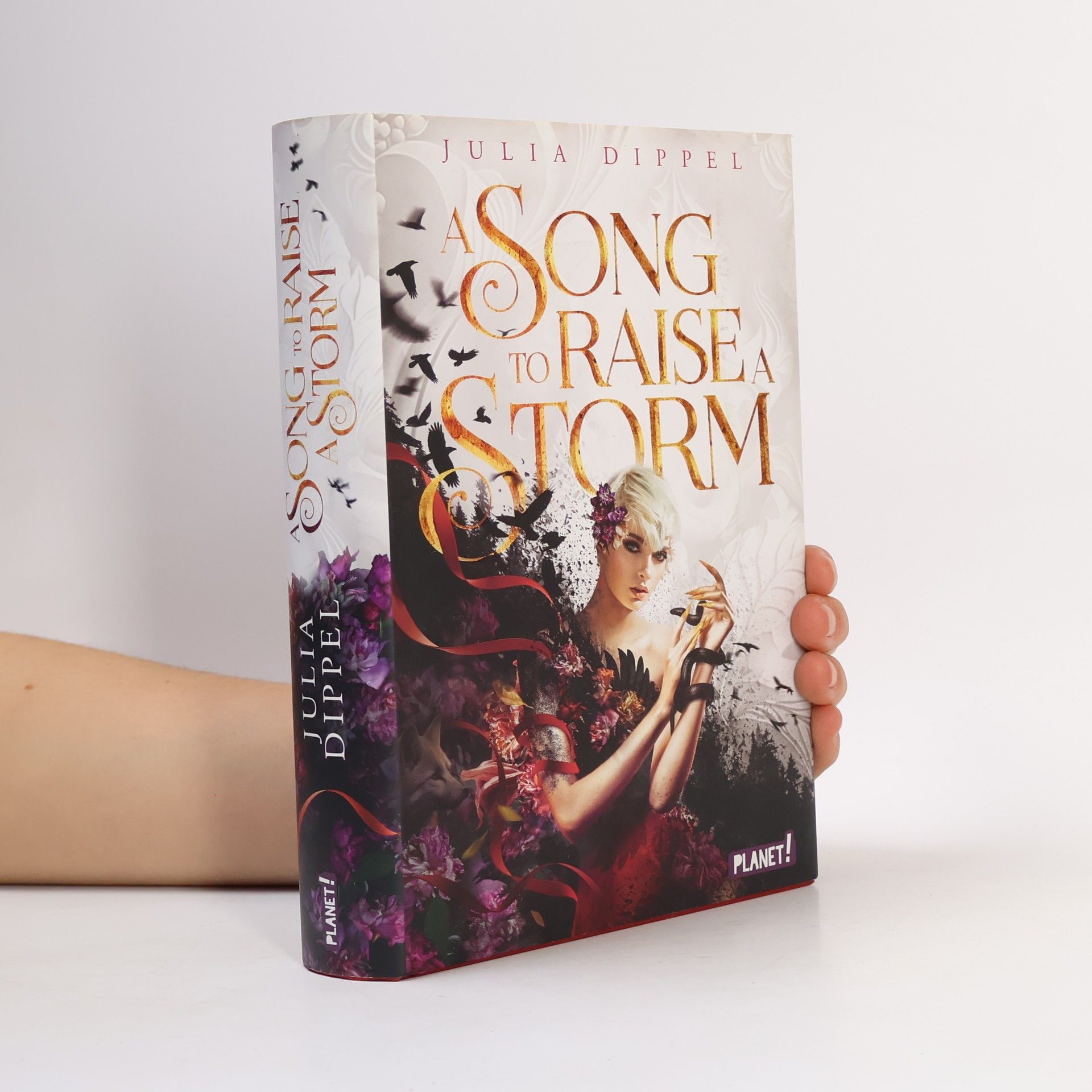 Julia Dippel Die Sonnenfeuer-Ballade 1: A Song to Raise a Storm