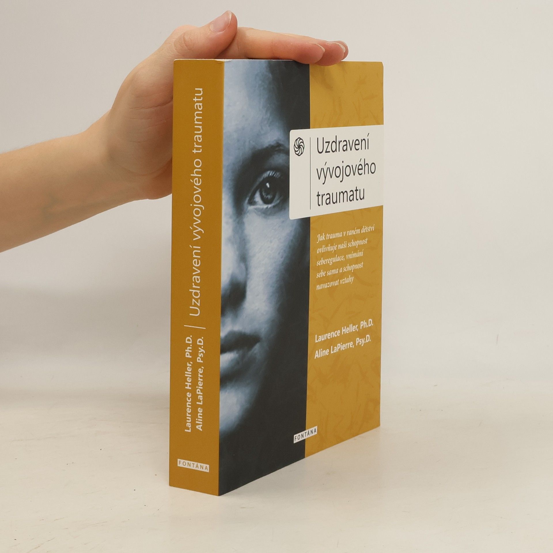 Uzdravení vývojového traumatu