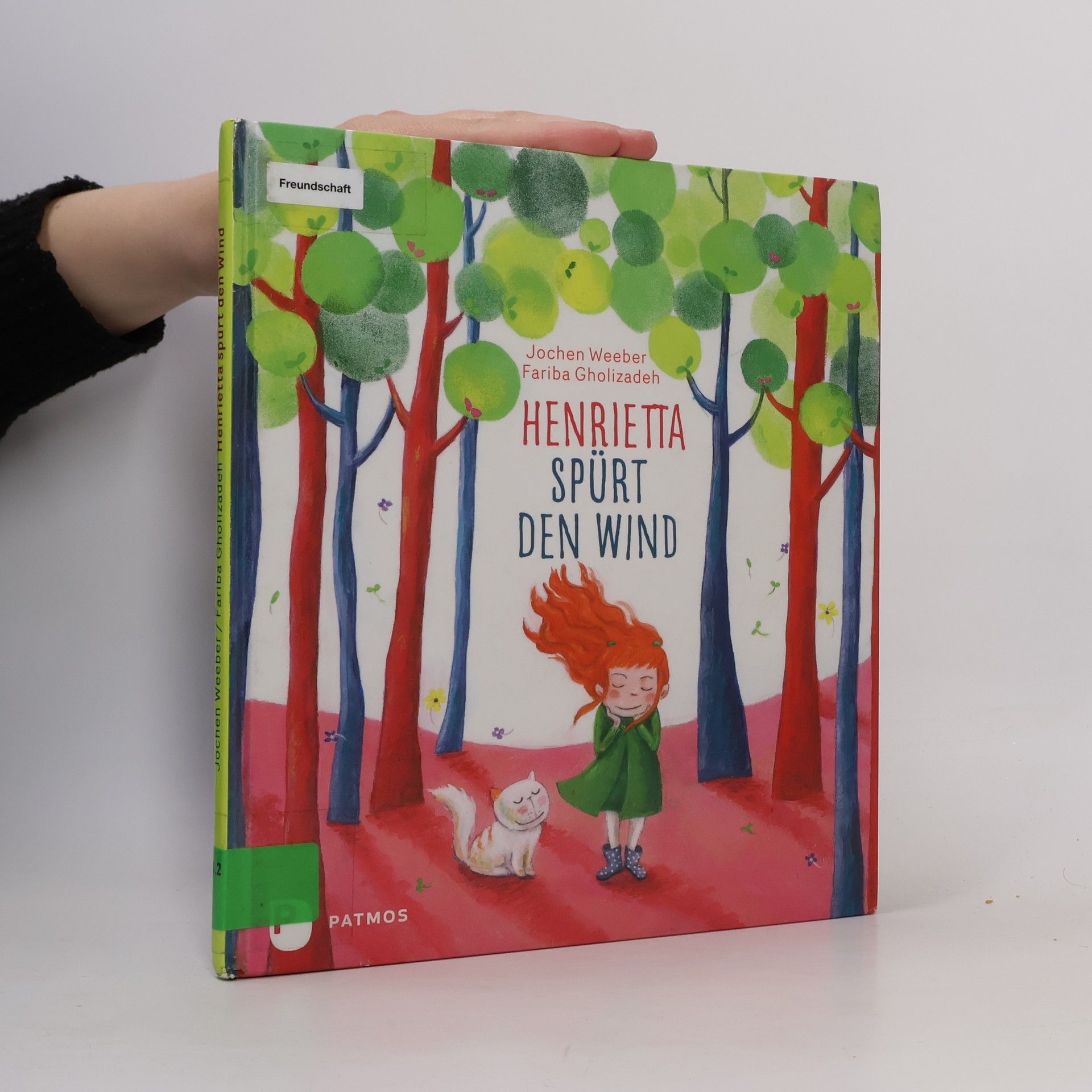 Jochen Weeber Henrietta spürt den Wind