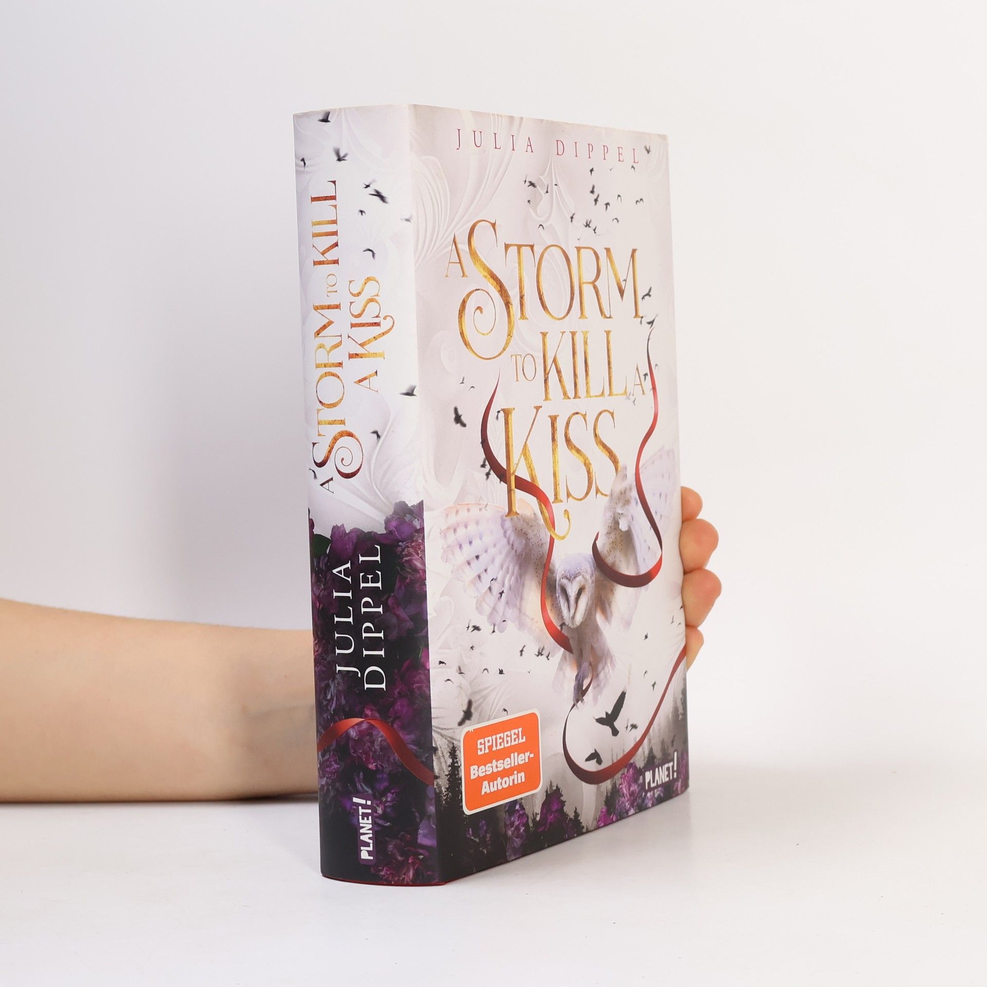 Julia Dippel A Storm to Kill a Kiss / Die Sonnenfeuer-Ballade Bd.2