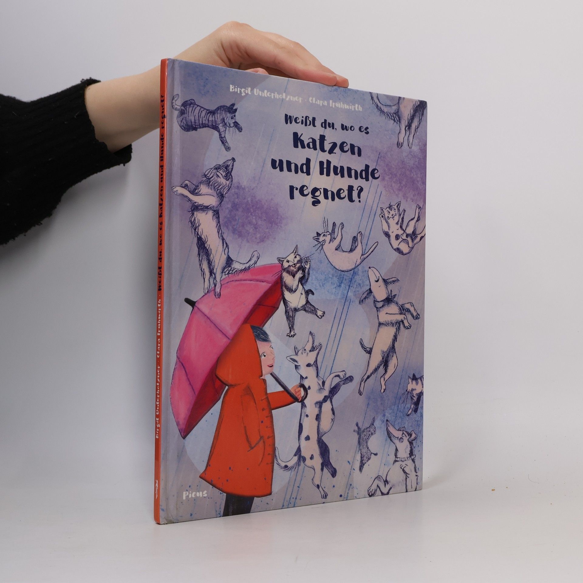 Birgit Unterholzner Weißt du, wo es Katzen und Hunde regnet?