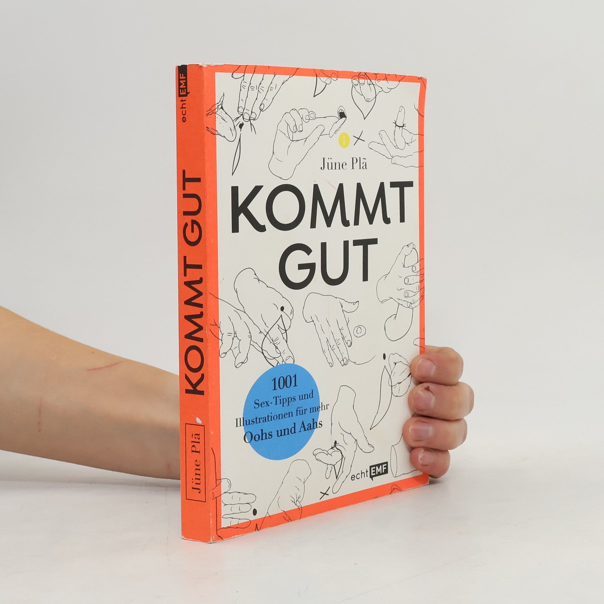 Jüne Plã Kommt gut