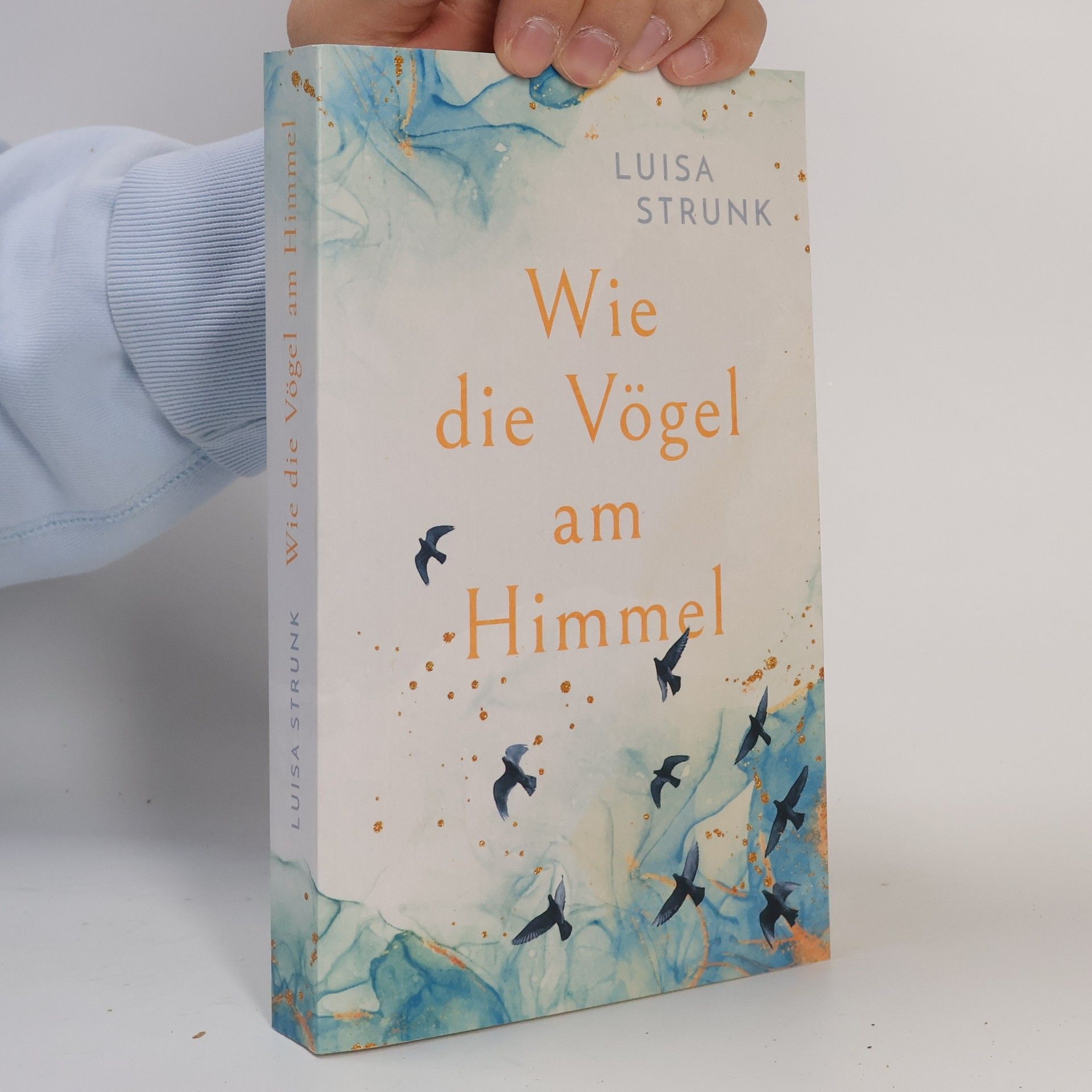 Luisa Strunk Wie die Vögel am Himmel