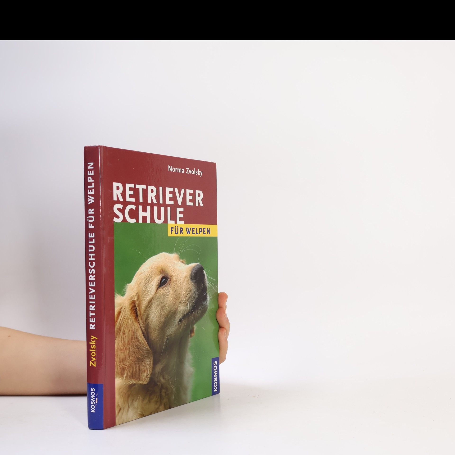 Norma Zvolsky Retrieverschule für Welpen