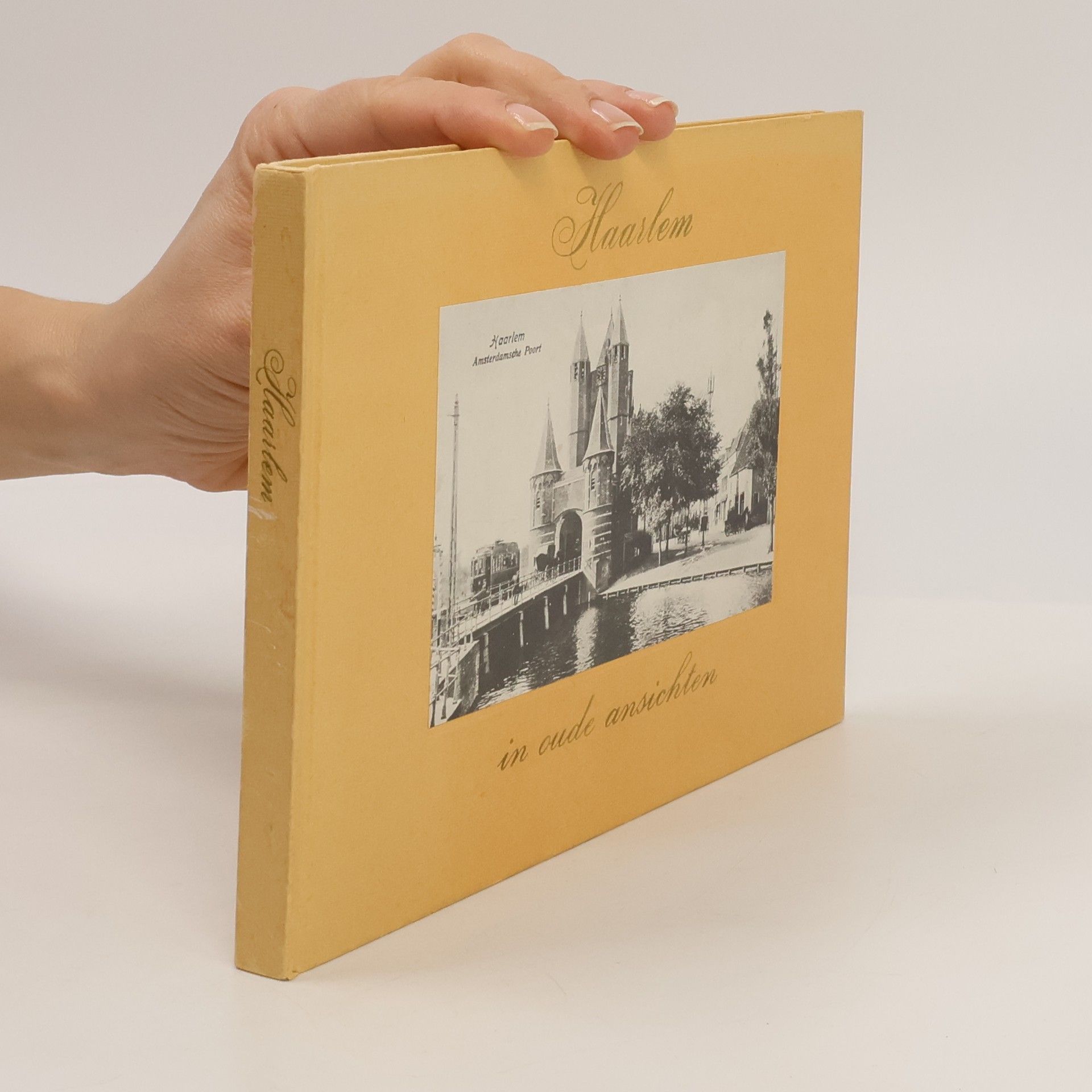 Kolektiv autorů Haarlem in oude ansichten
