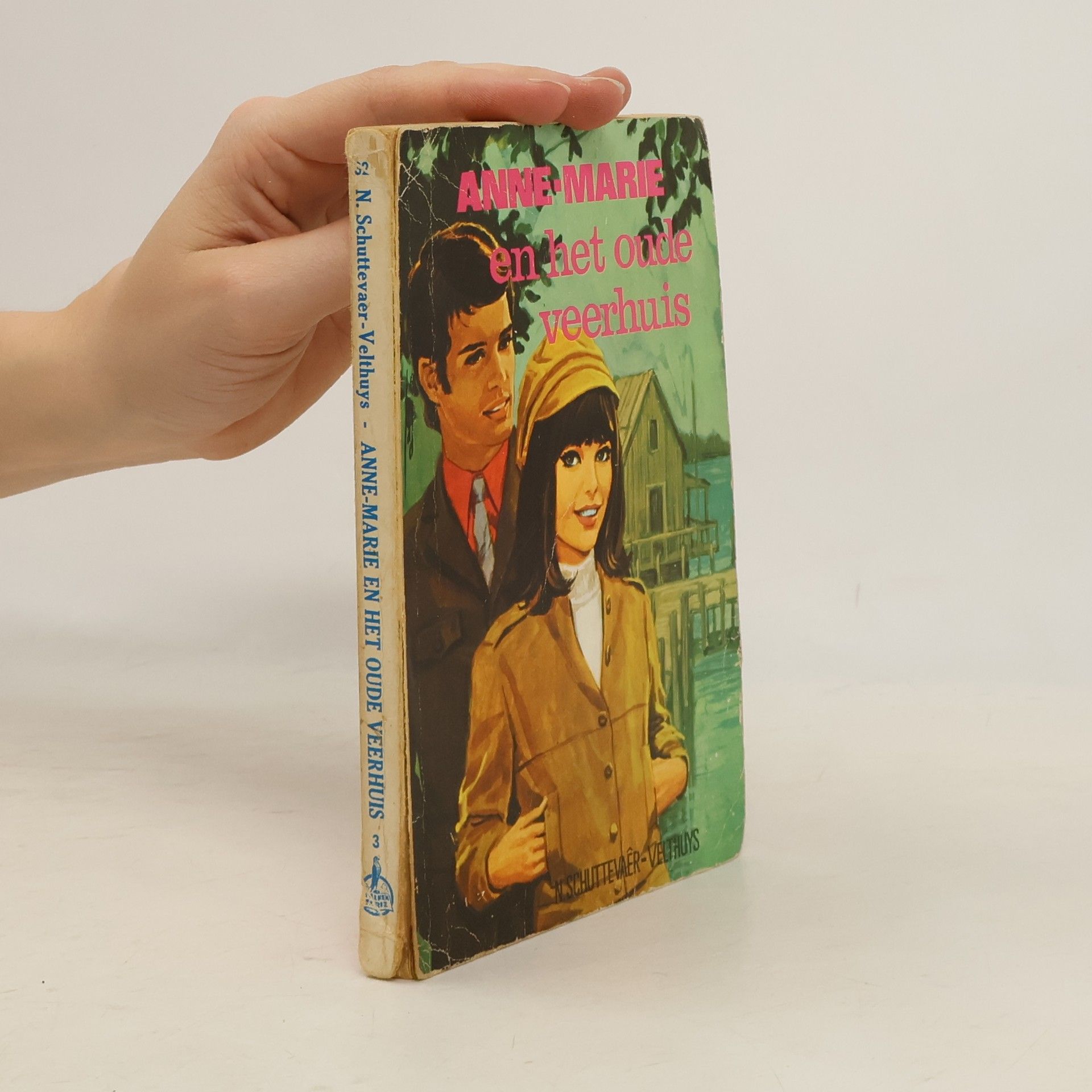 Anne-Marie en het oude veerhuis