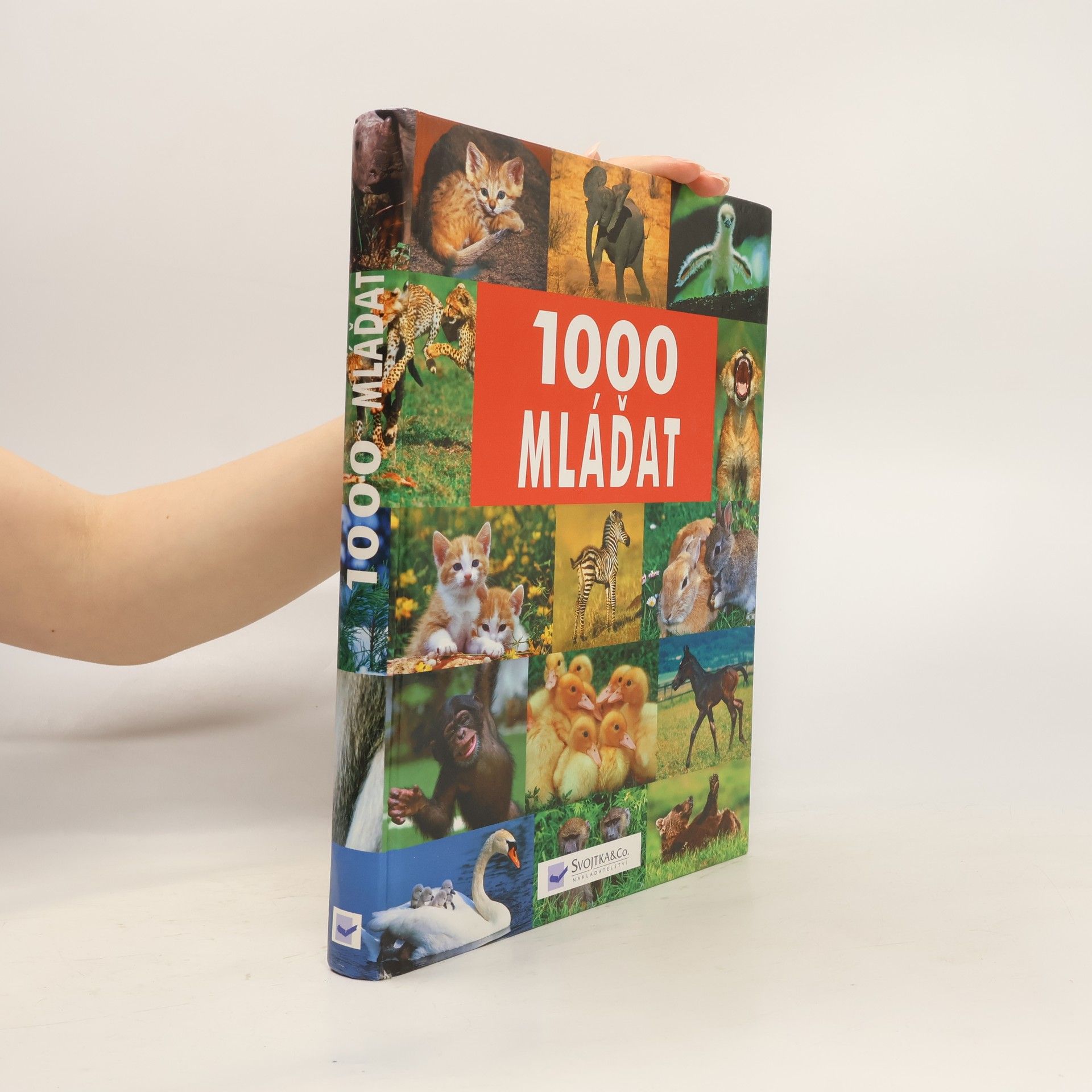 Kolektiv autorů 1000 mláďat