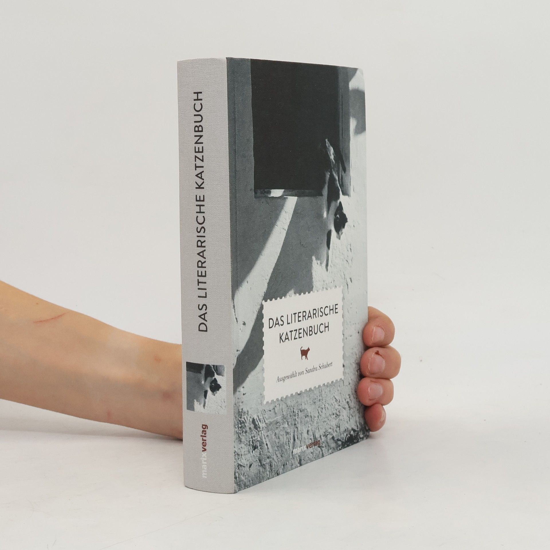 Sandra Schubert Das literarische Katzenbuch