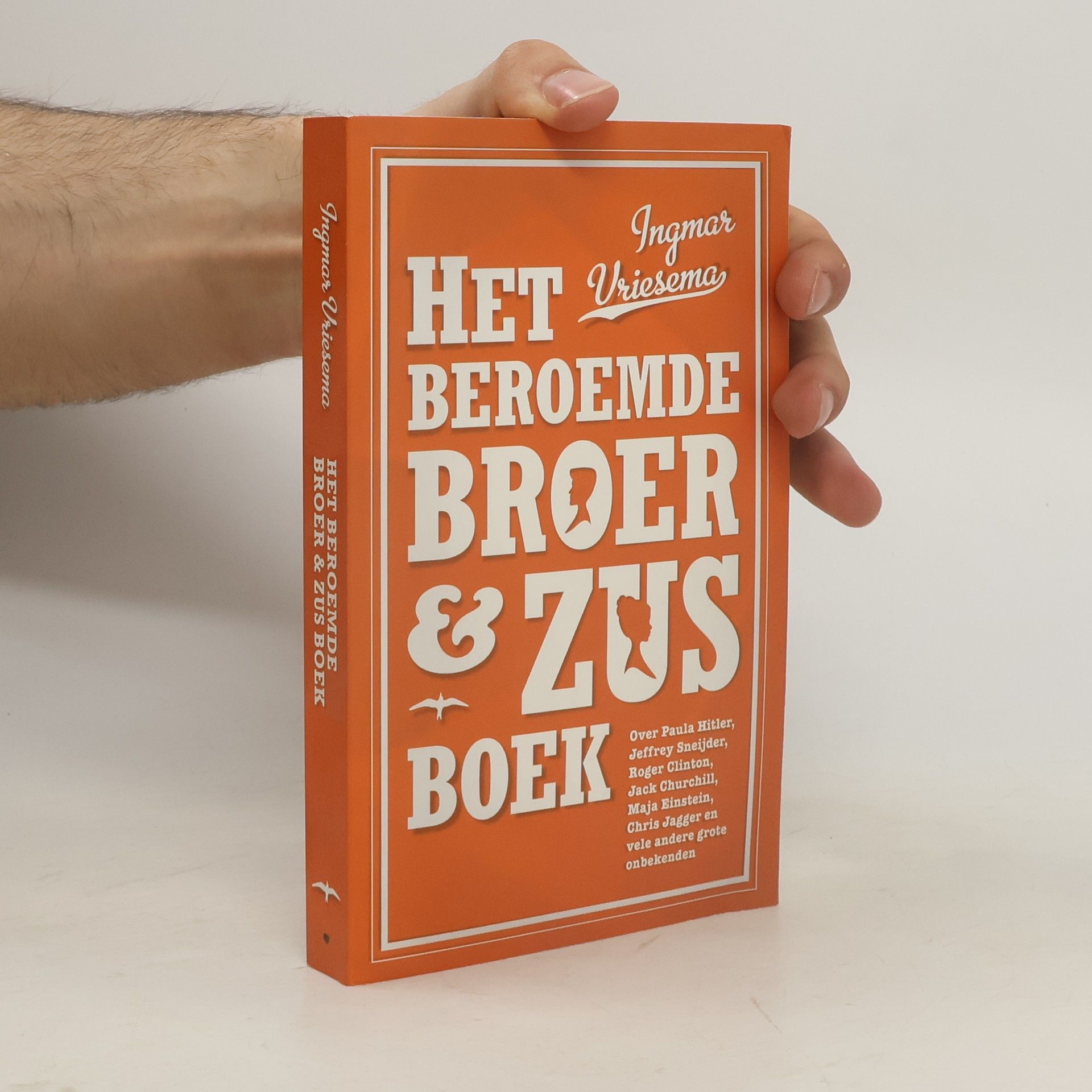 Ingmar Vriesema Het beroemde broer & zus boek