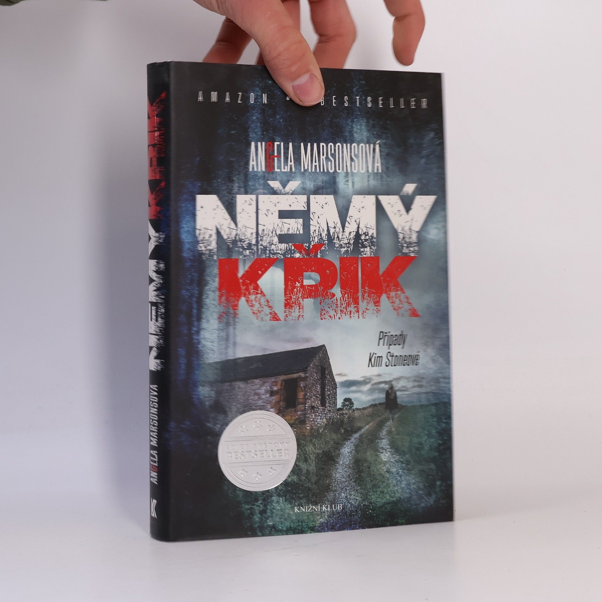 Angela Marsons Němý křik